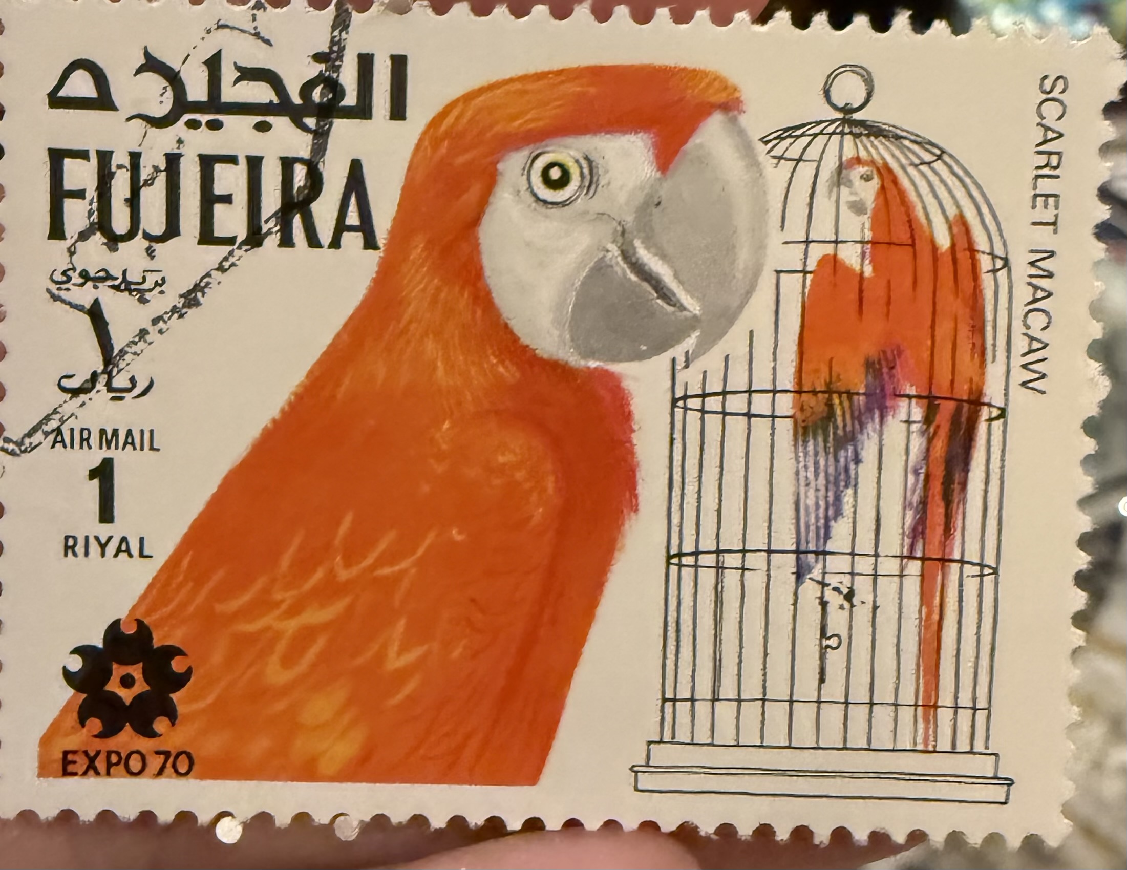 Scarlett Macaq-Fujaira