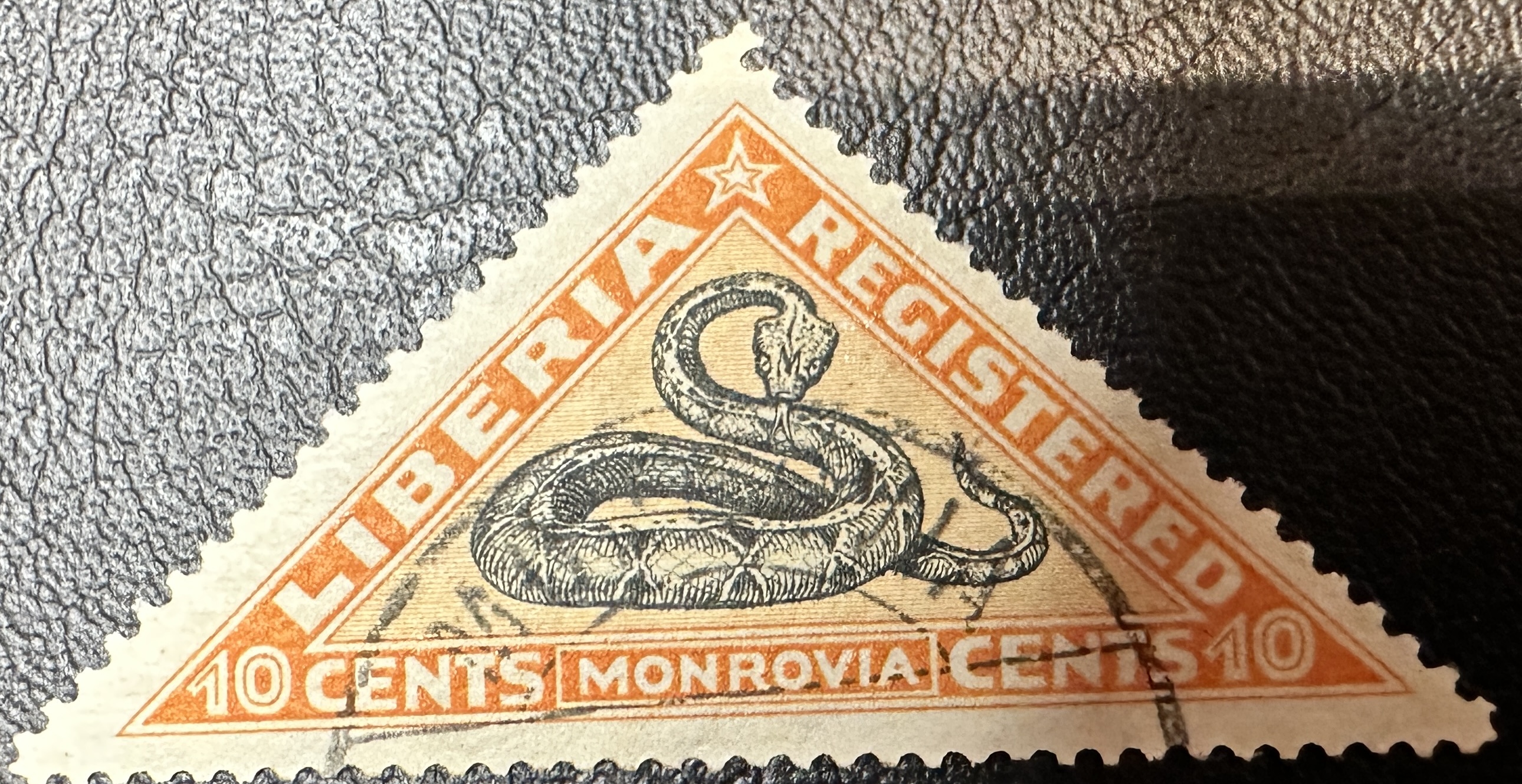 Liberia Snake Orange