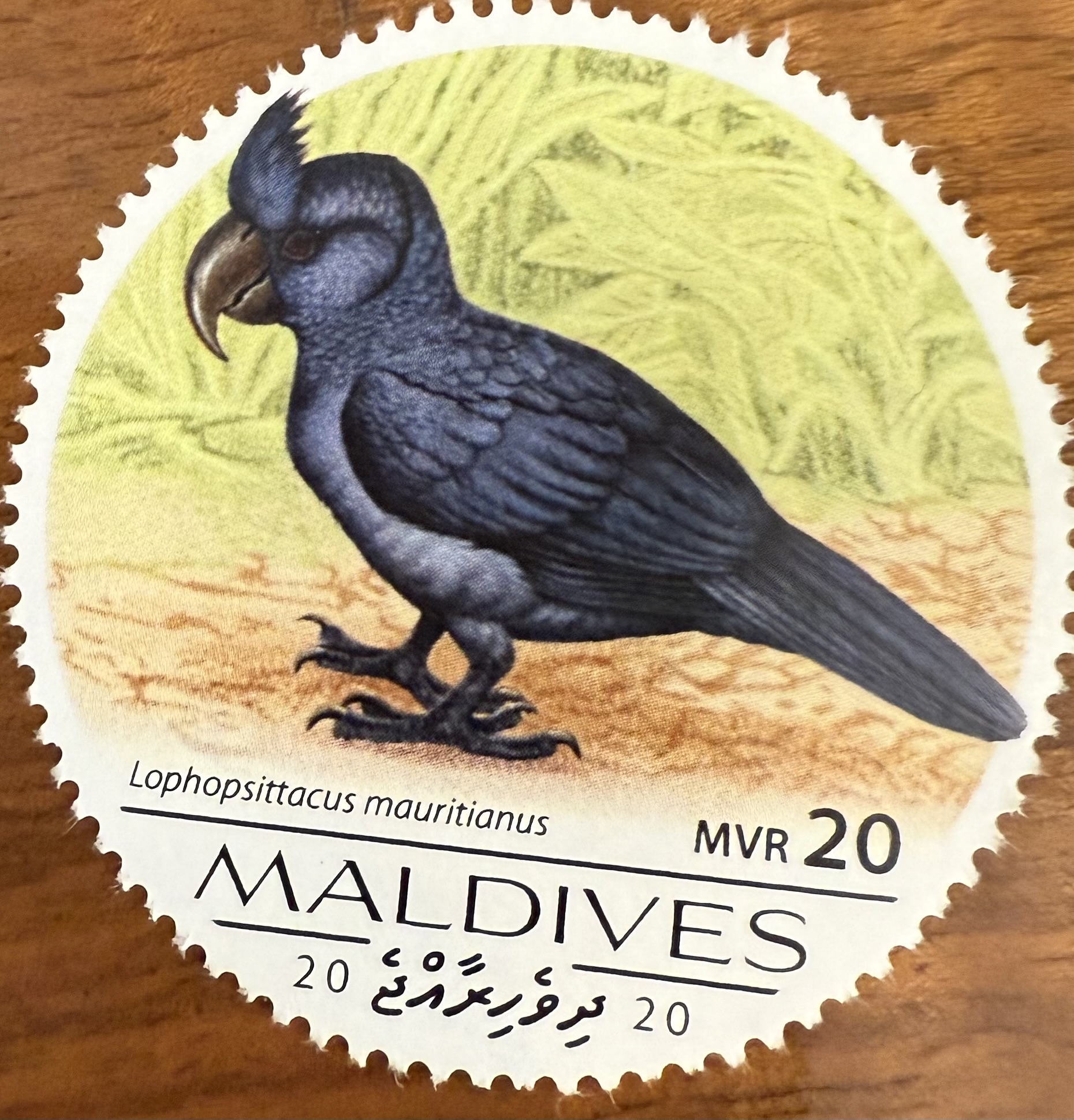 Maldives Extinct Birds 4