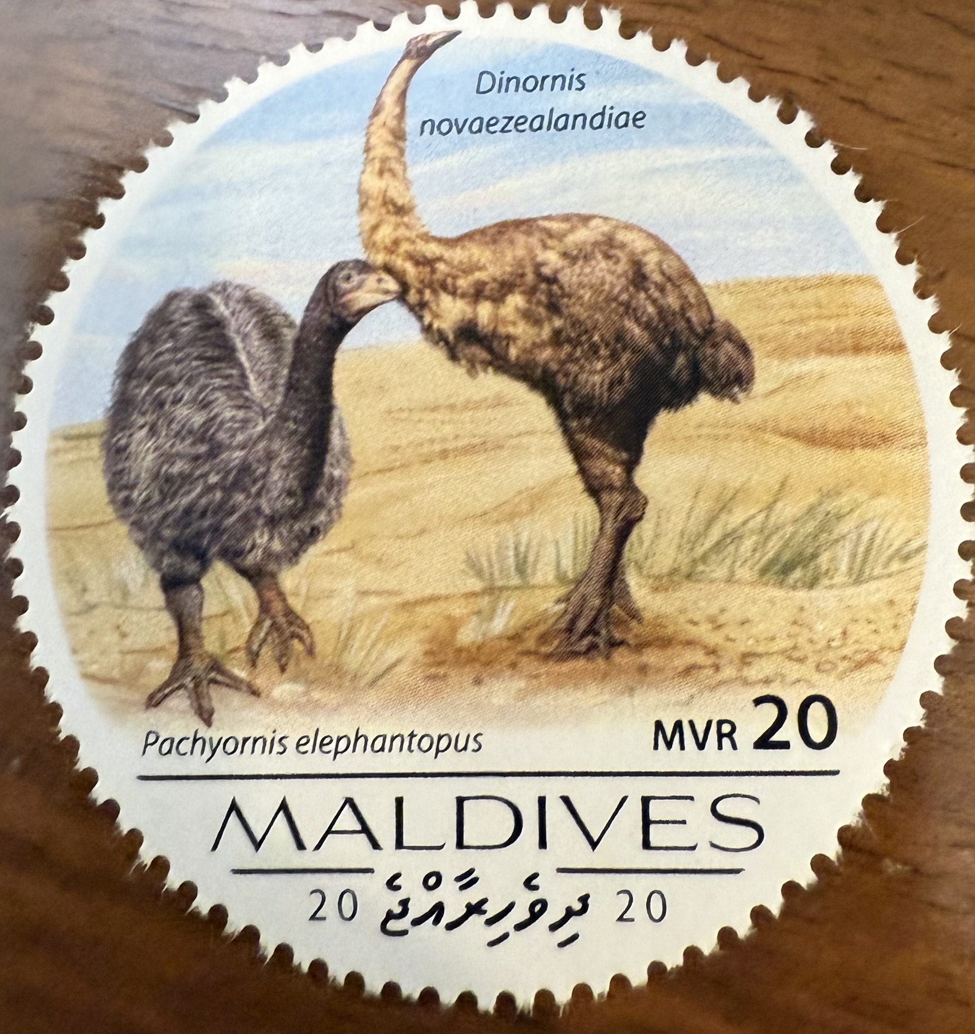 North Island Giant Moa