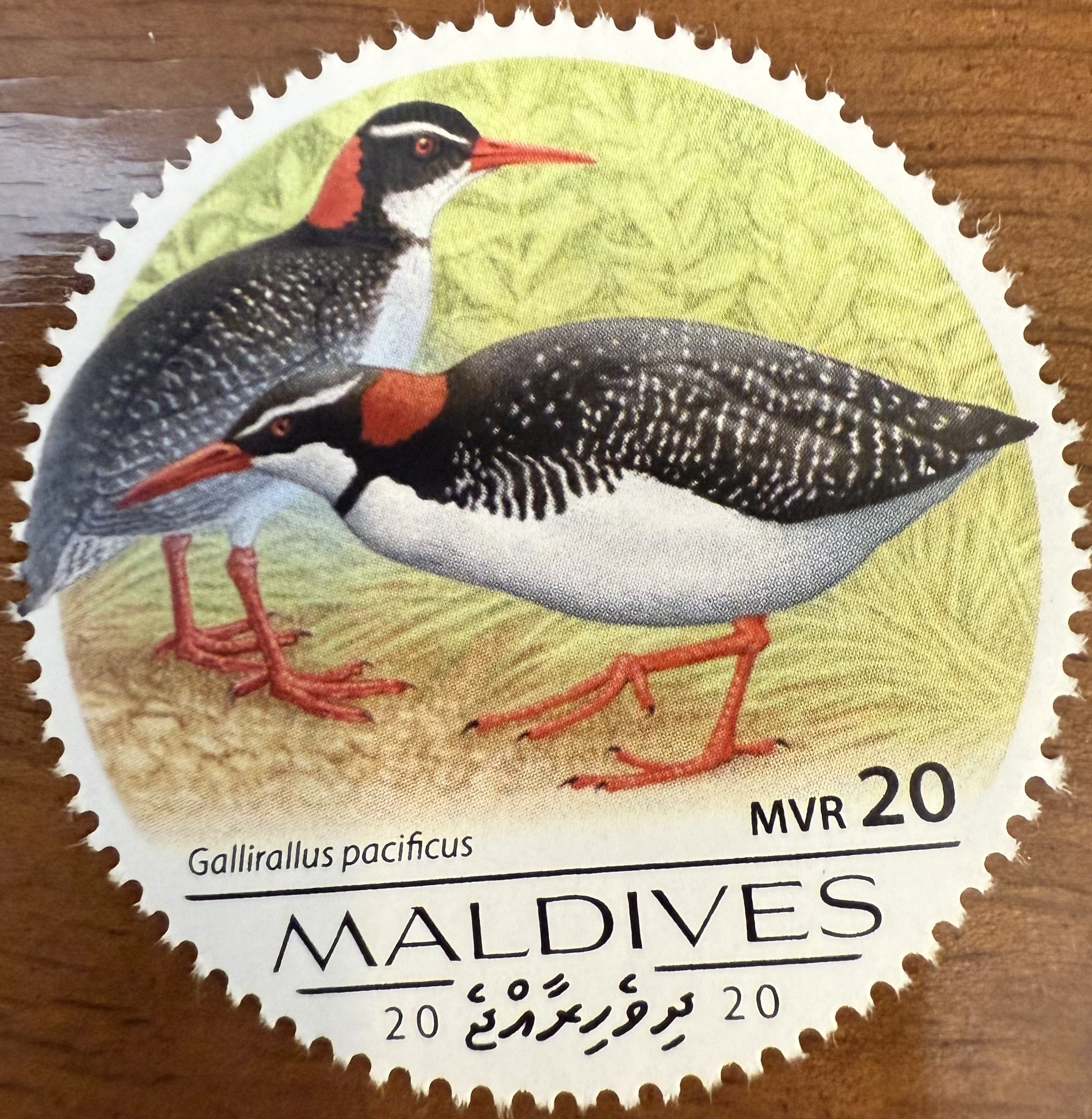 Maldives Extinct Bird 1