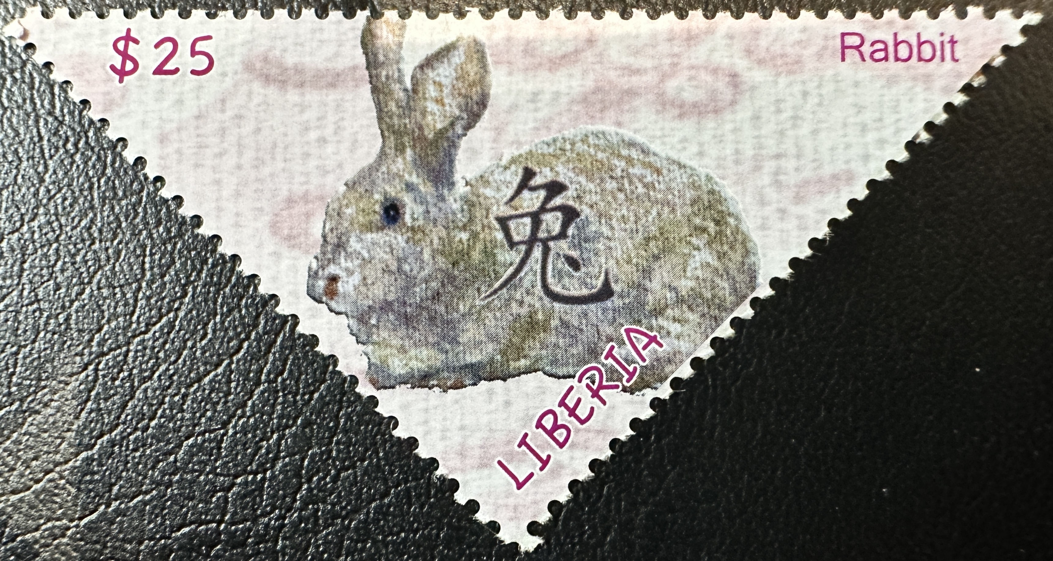 Liberia Rabbit