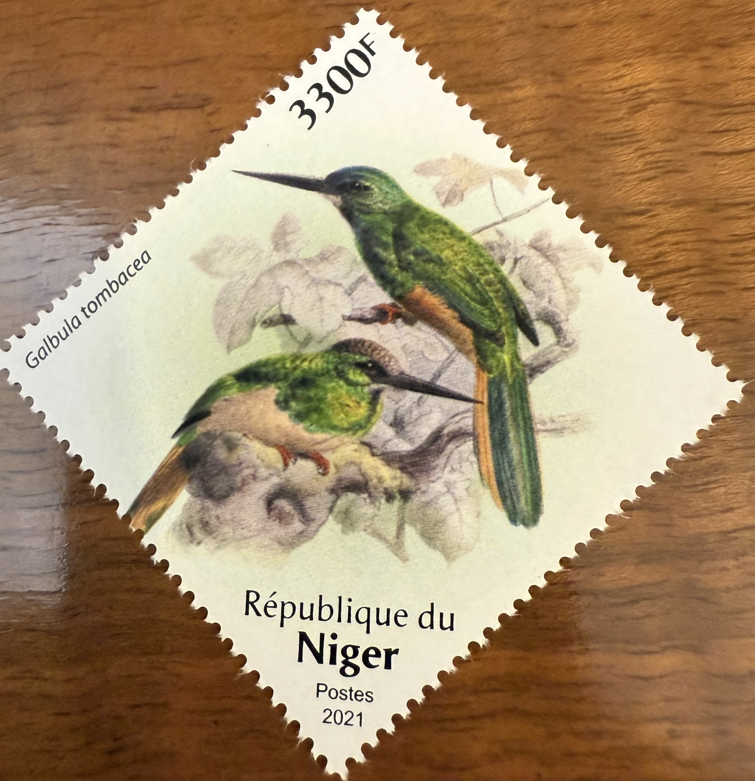 White Chinned Jacamar-Niger