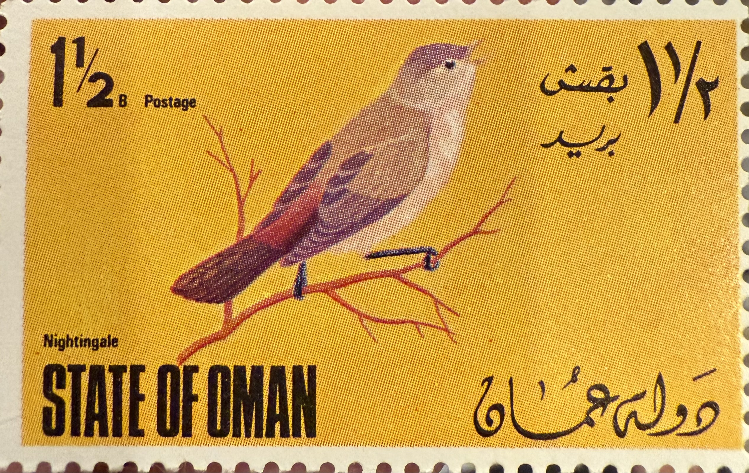 Nightingale-Oman
