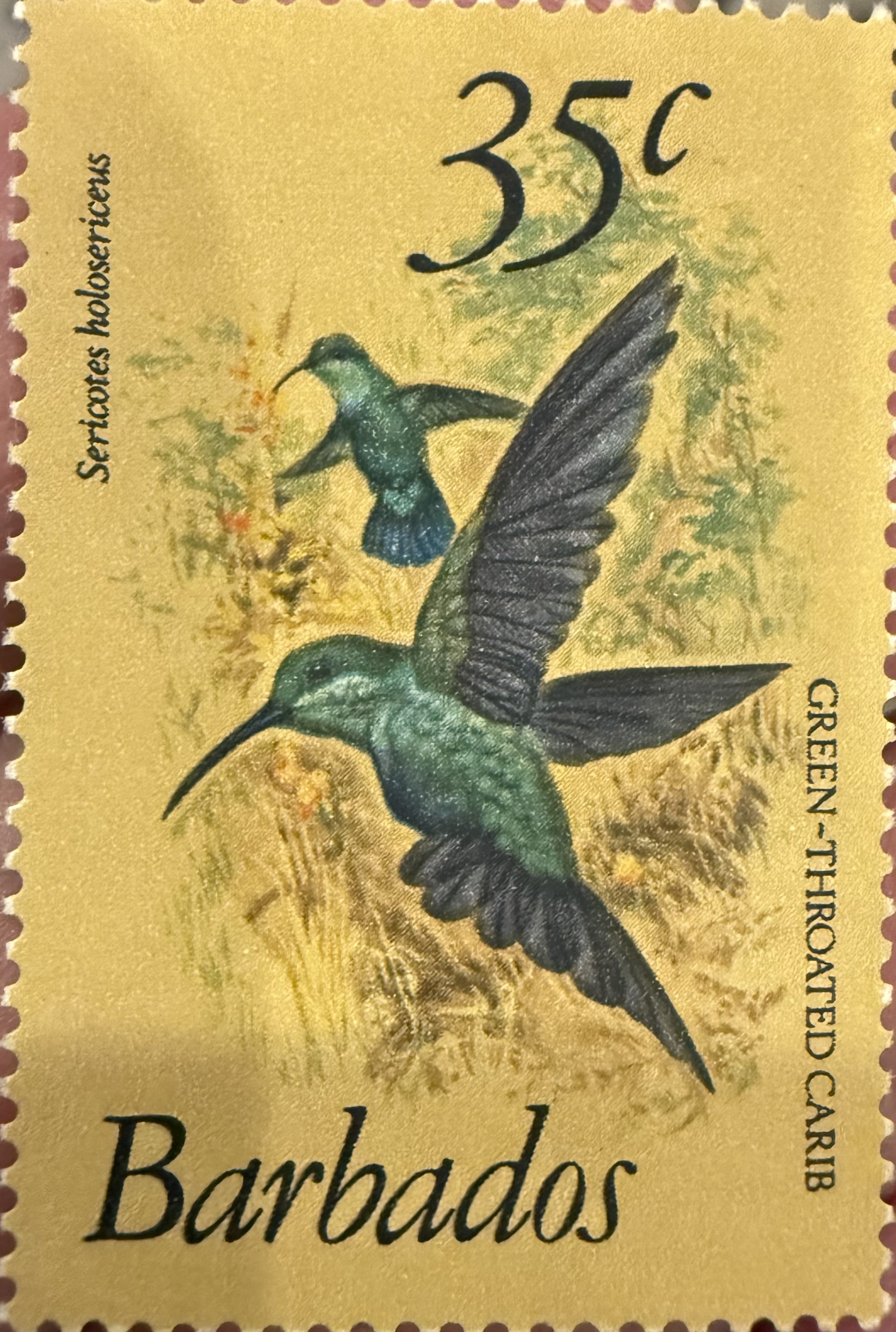 Green Throated Carib