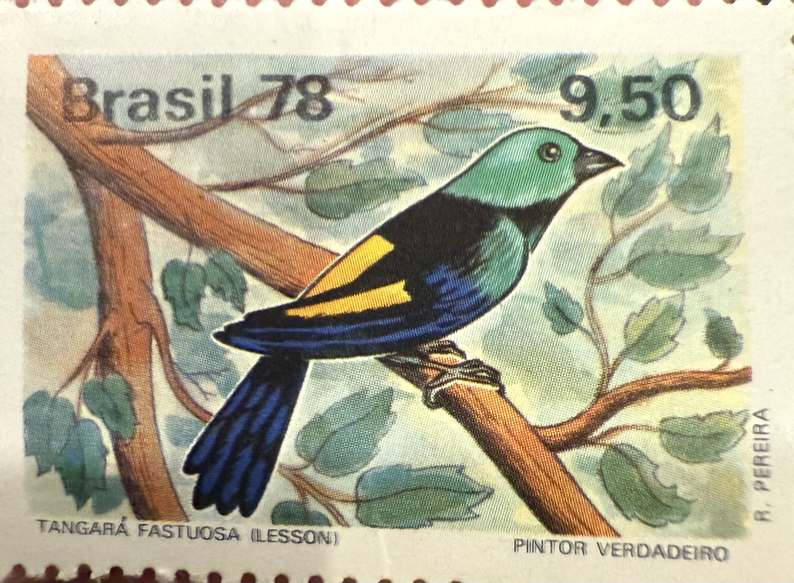 Seven Colored Tanager