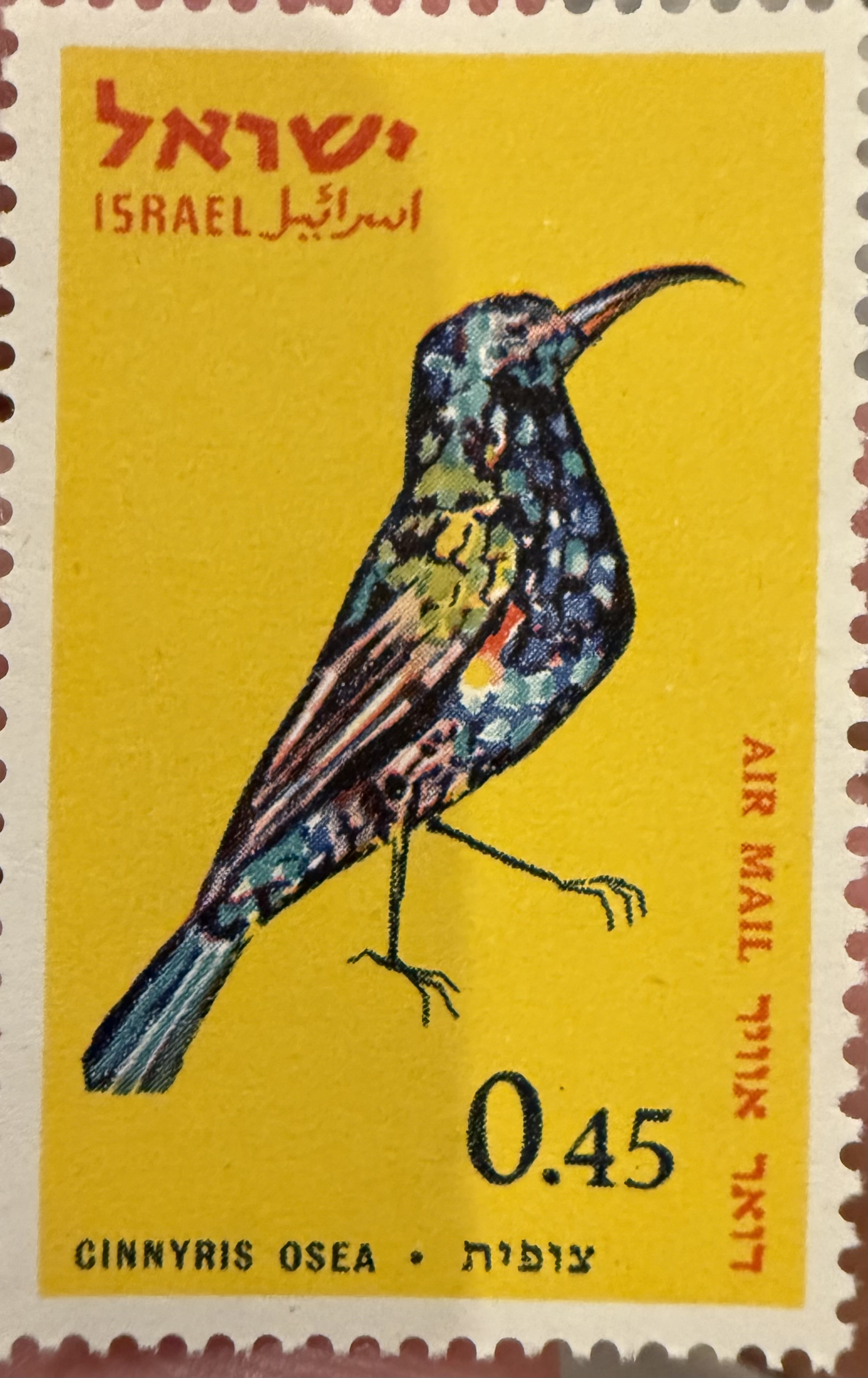 Palestine Sunbird