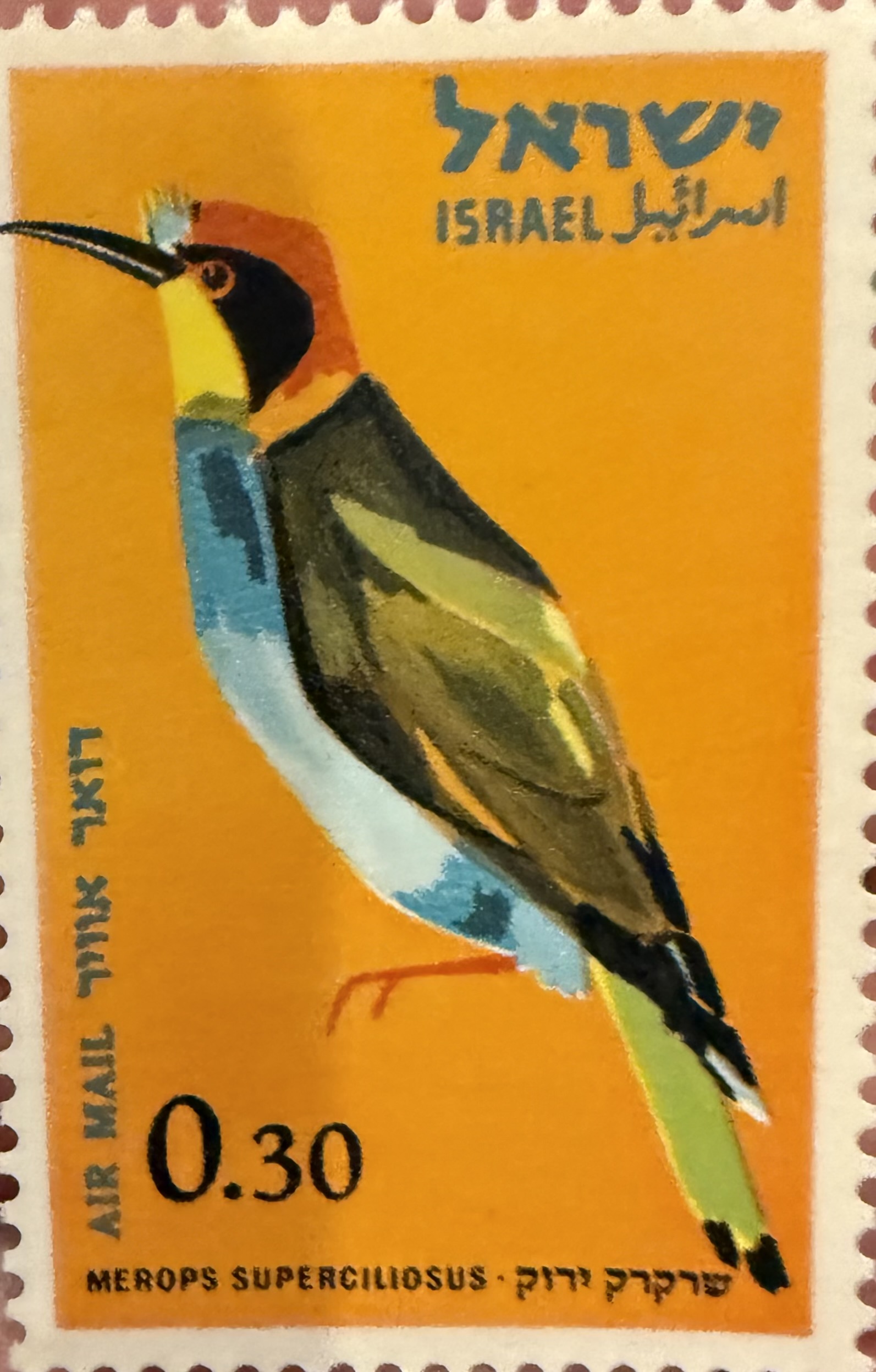 European Bee Eater-Israel