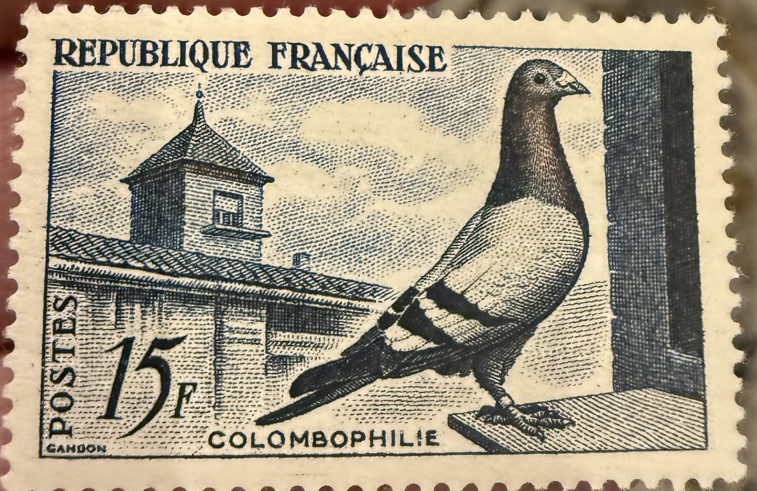 Carrier Pigeon-France