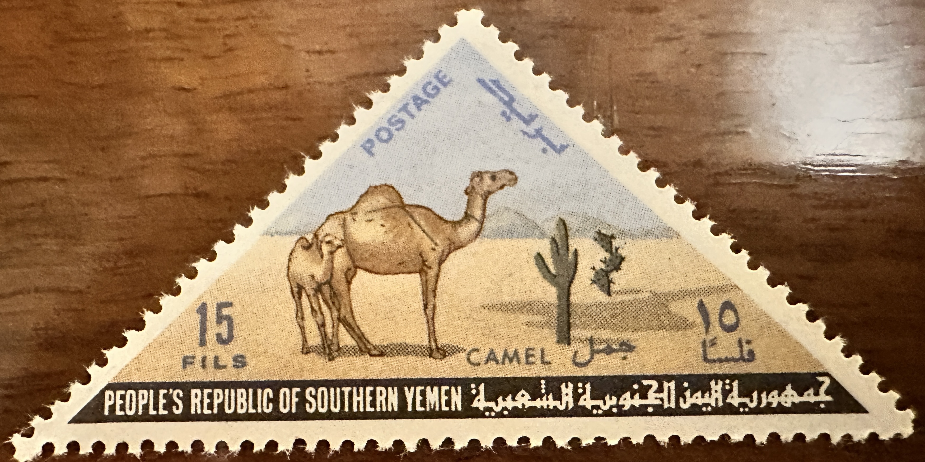 Camel 15