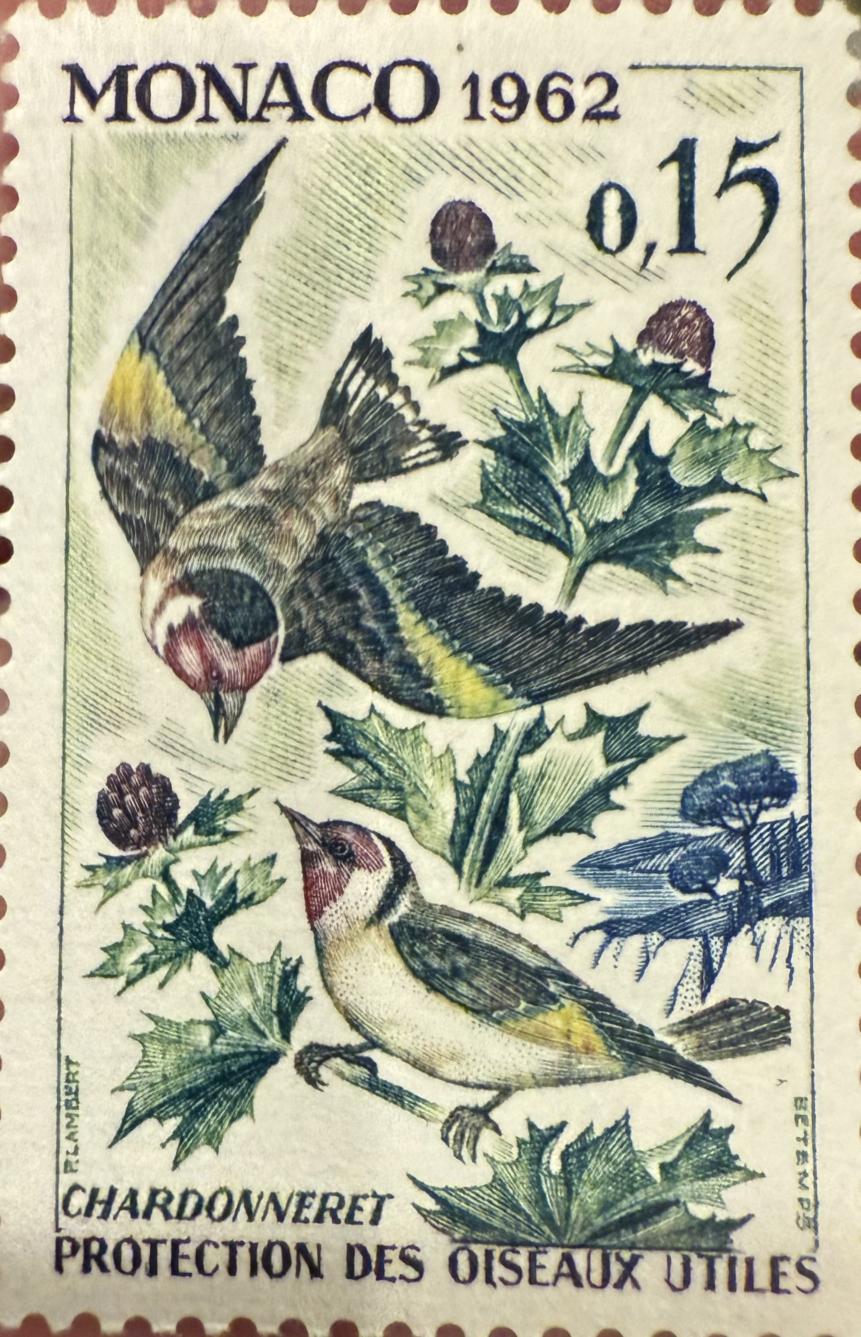 European Goldfinch 1962