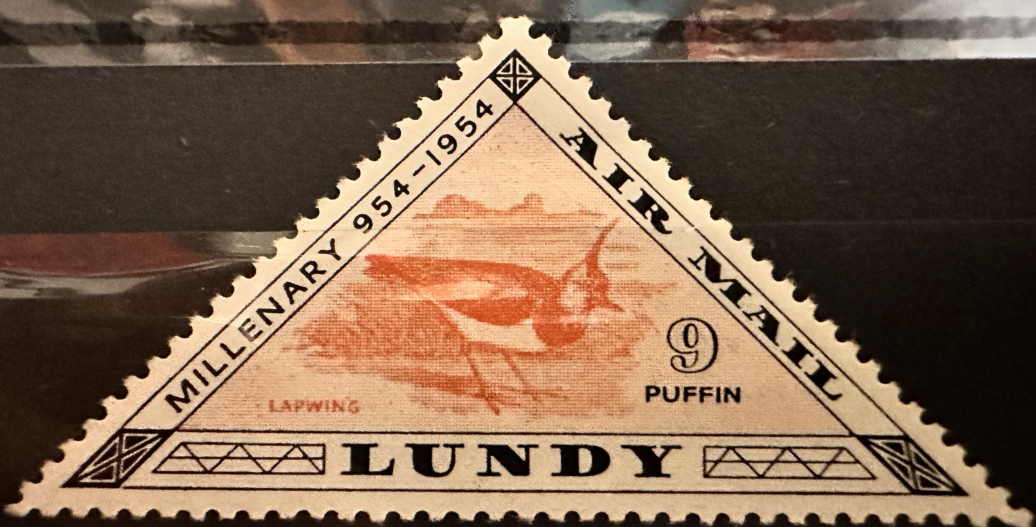 Lundy Lapwing 9