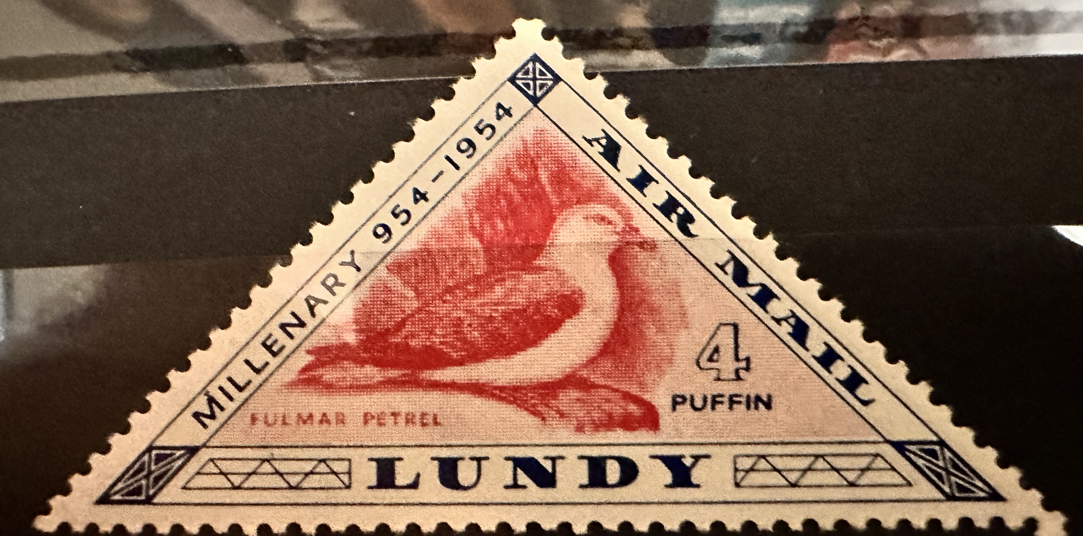 Lundy Petrel 4