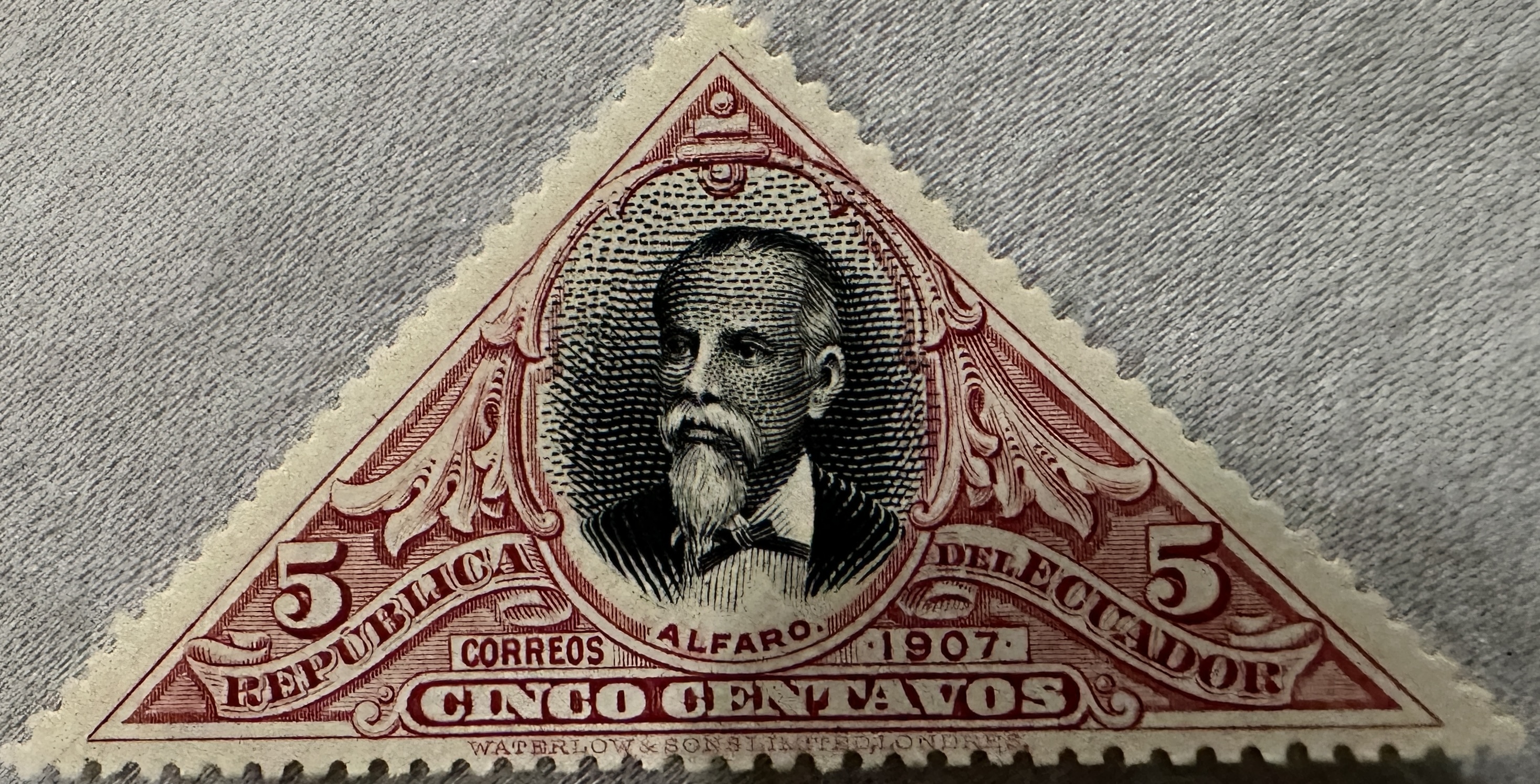 Alberado Mocayo Mint