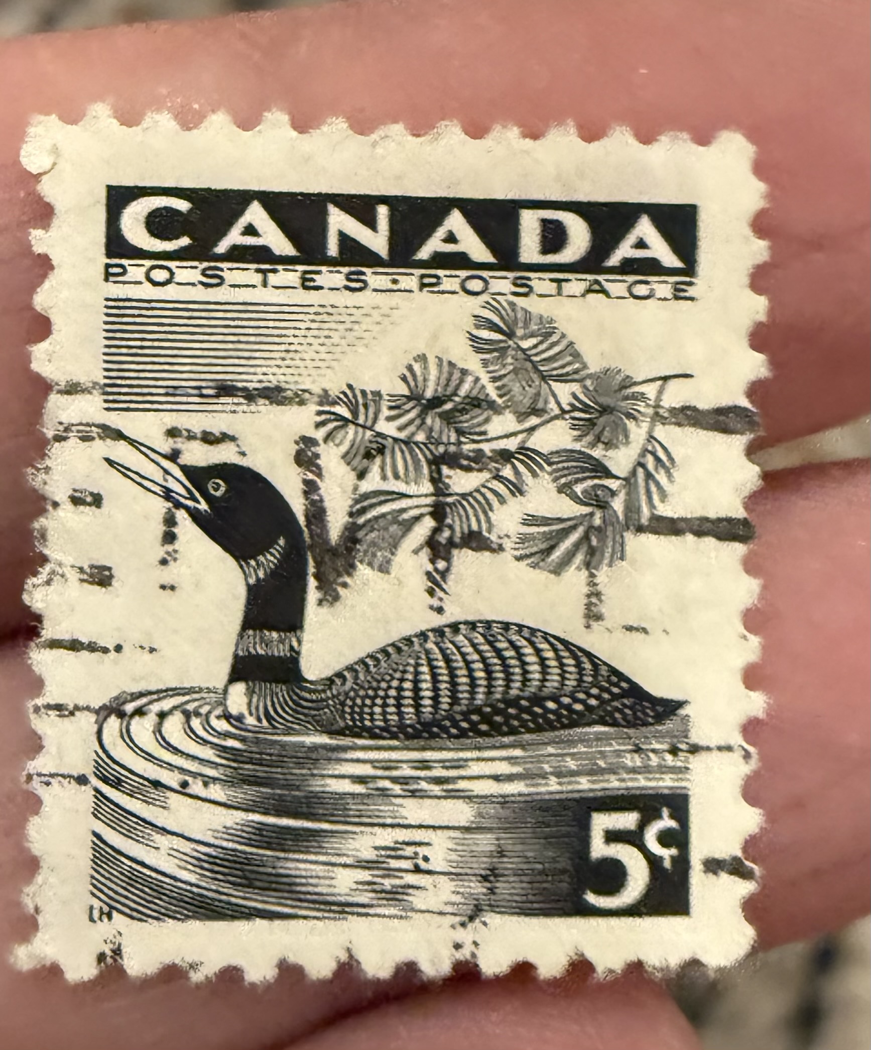 1957 Canada Loon