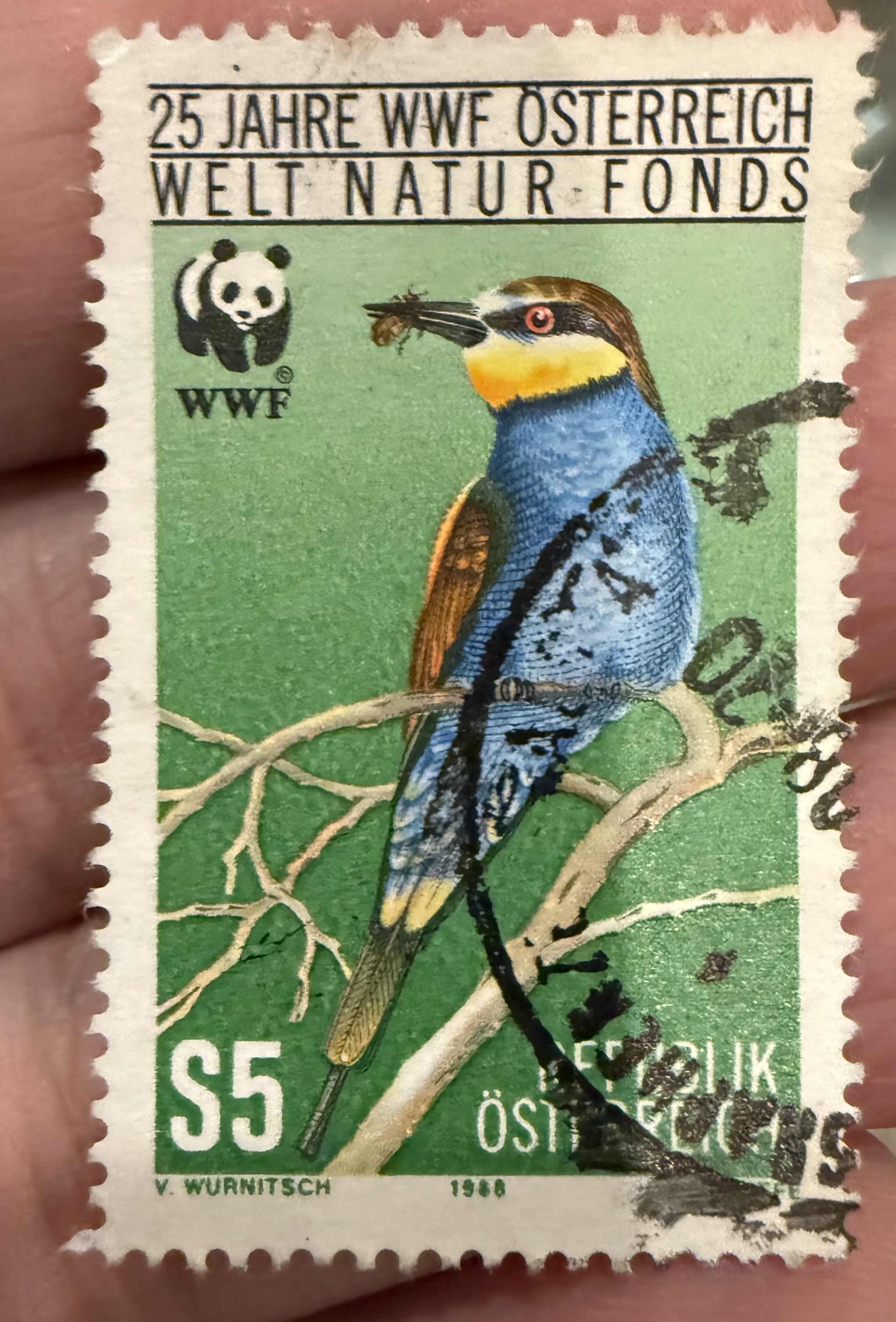 European Bee Eater-Austria