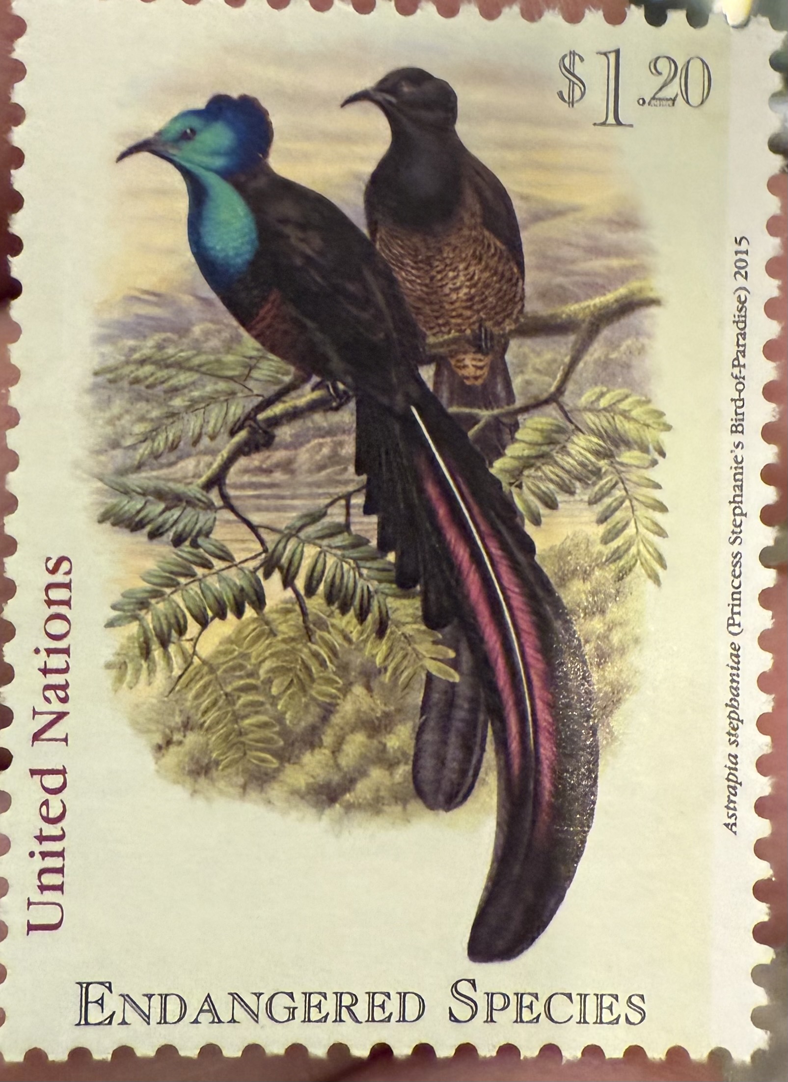 Princess Stephanie’s Bird of Paradise