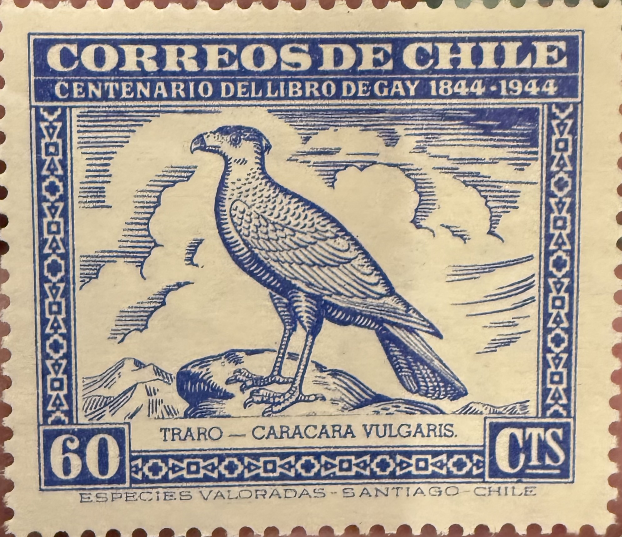 Northern Crested Caracara