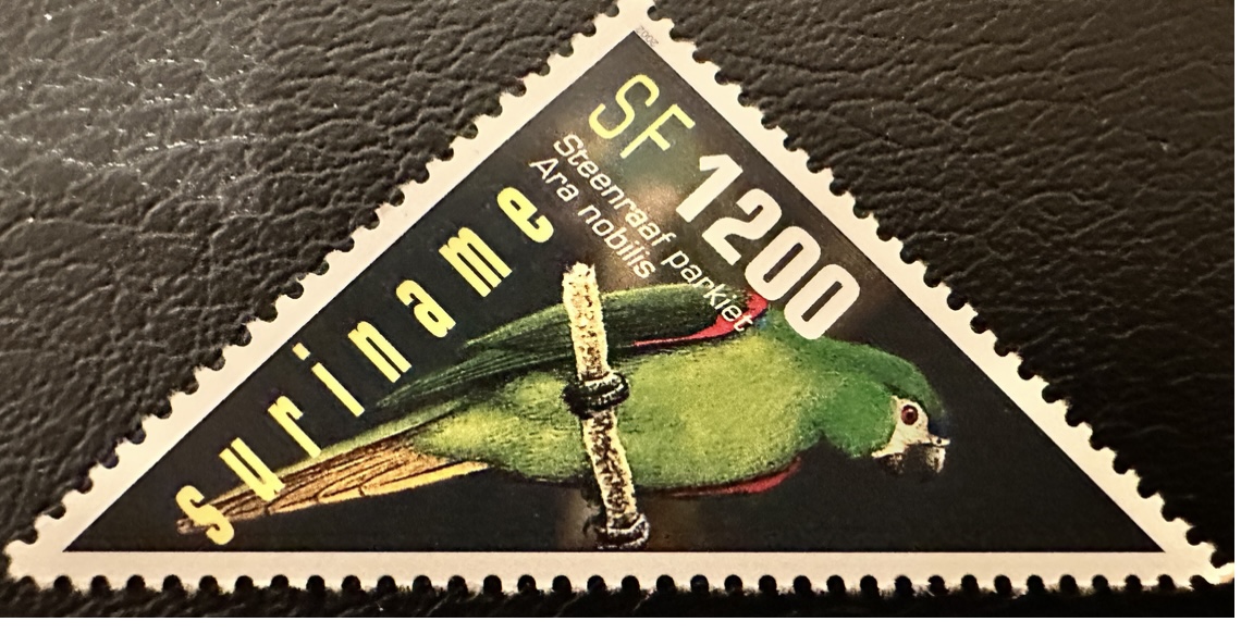 Red Shouldered Macaw