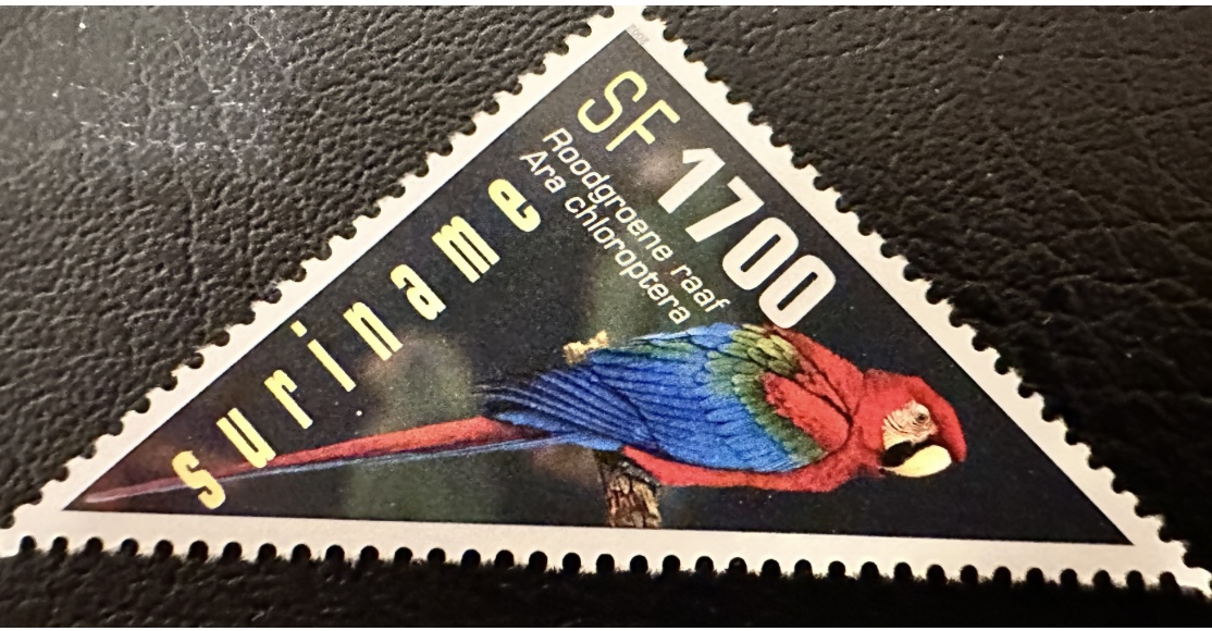 Red and Green Macaw- Suriname