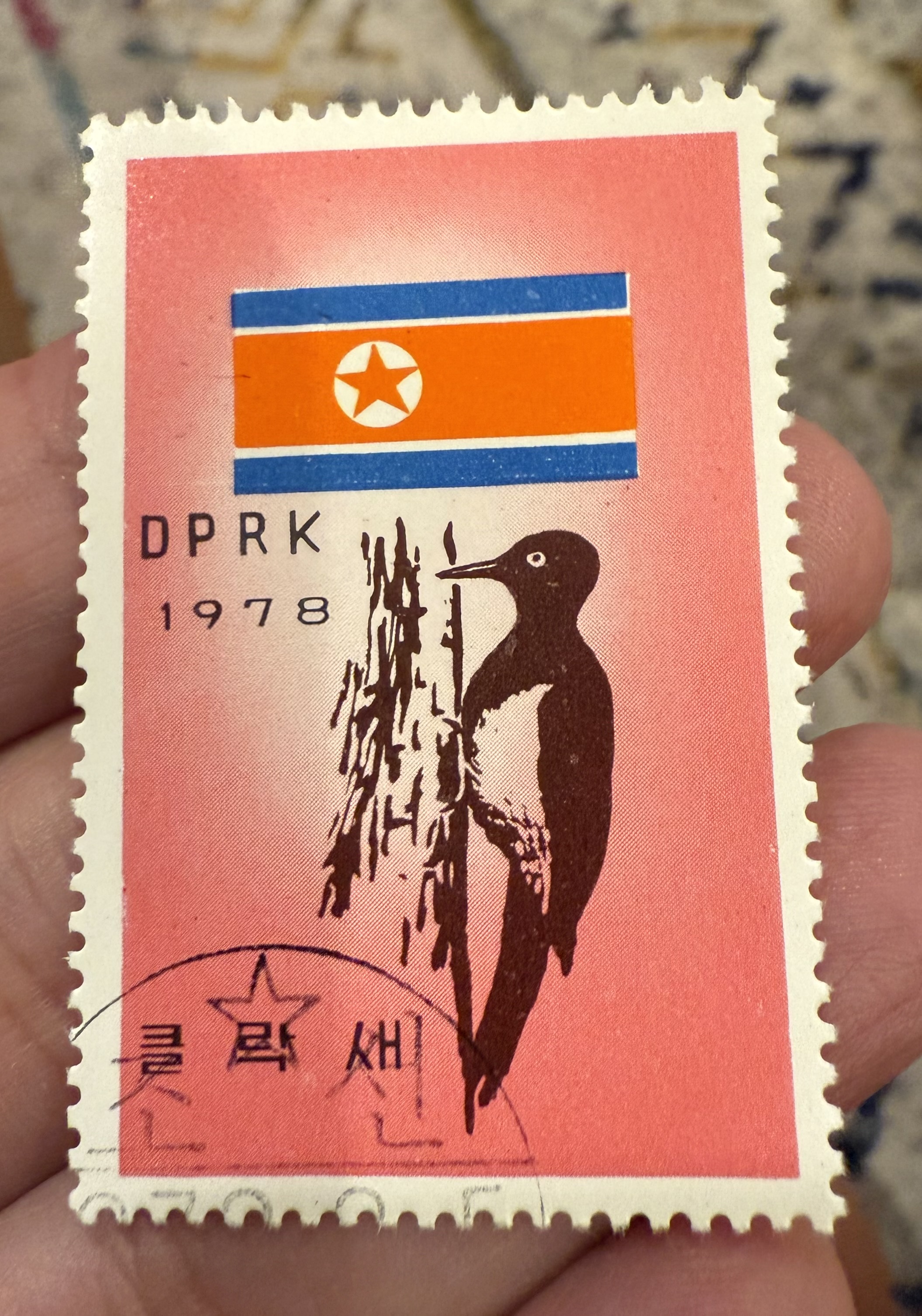 Tristram’s Woodpecker