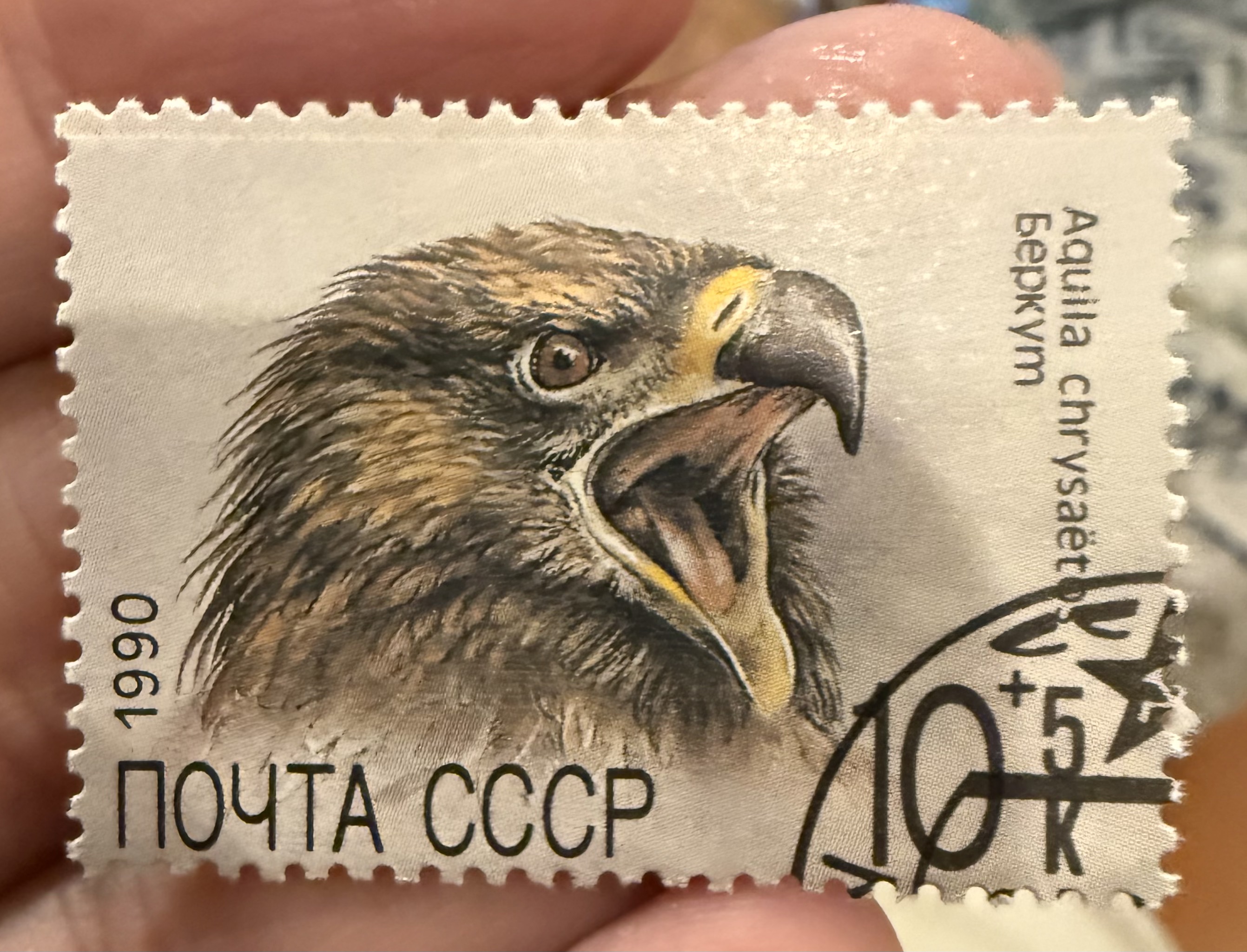 Golden Eagle-CCCP
