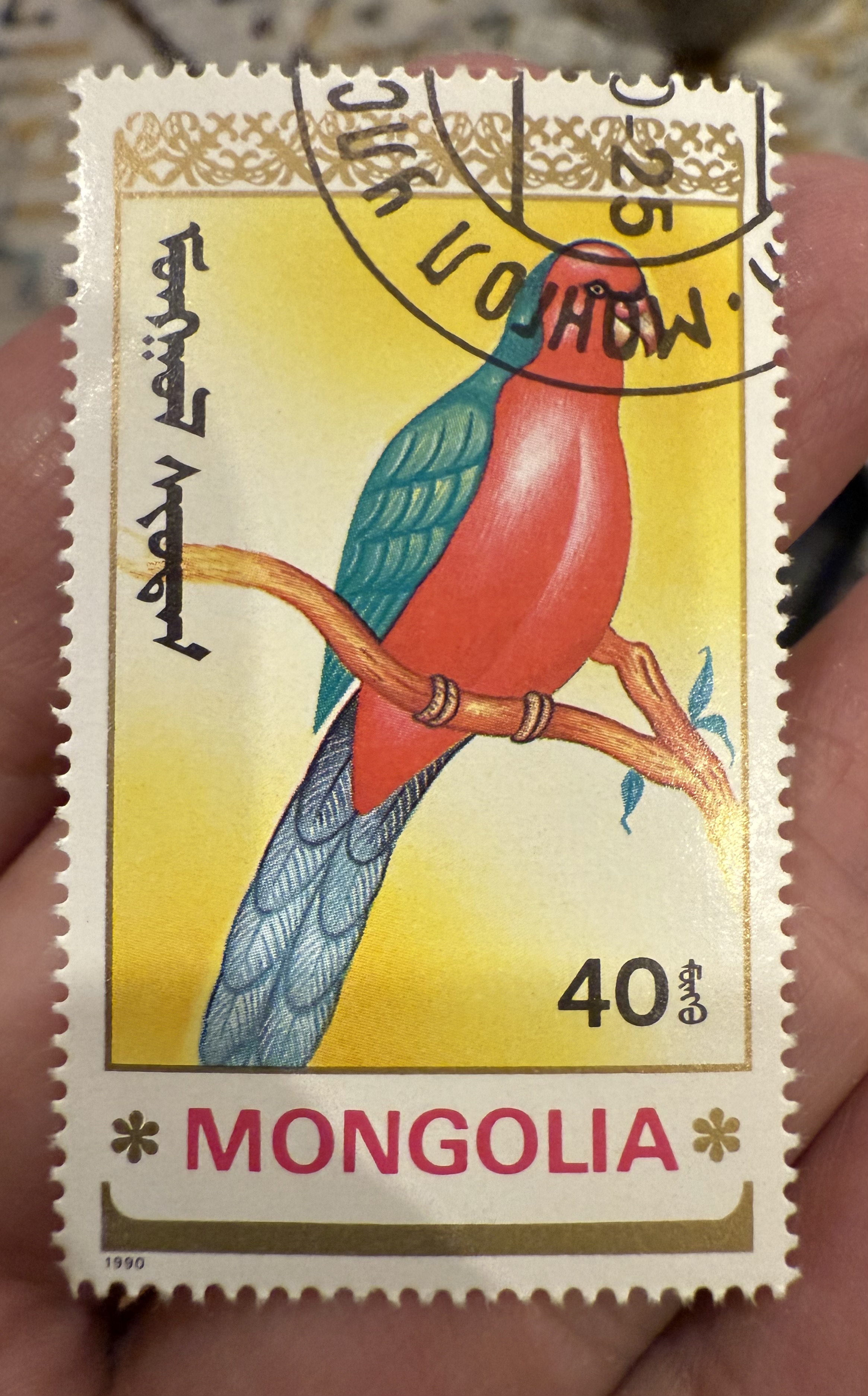 Australian King Parrot