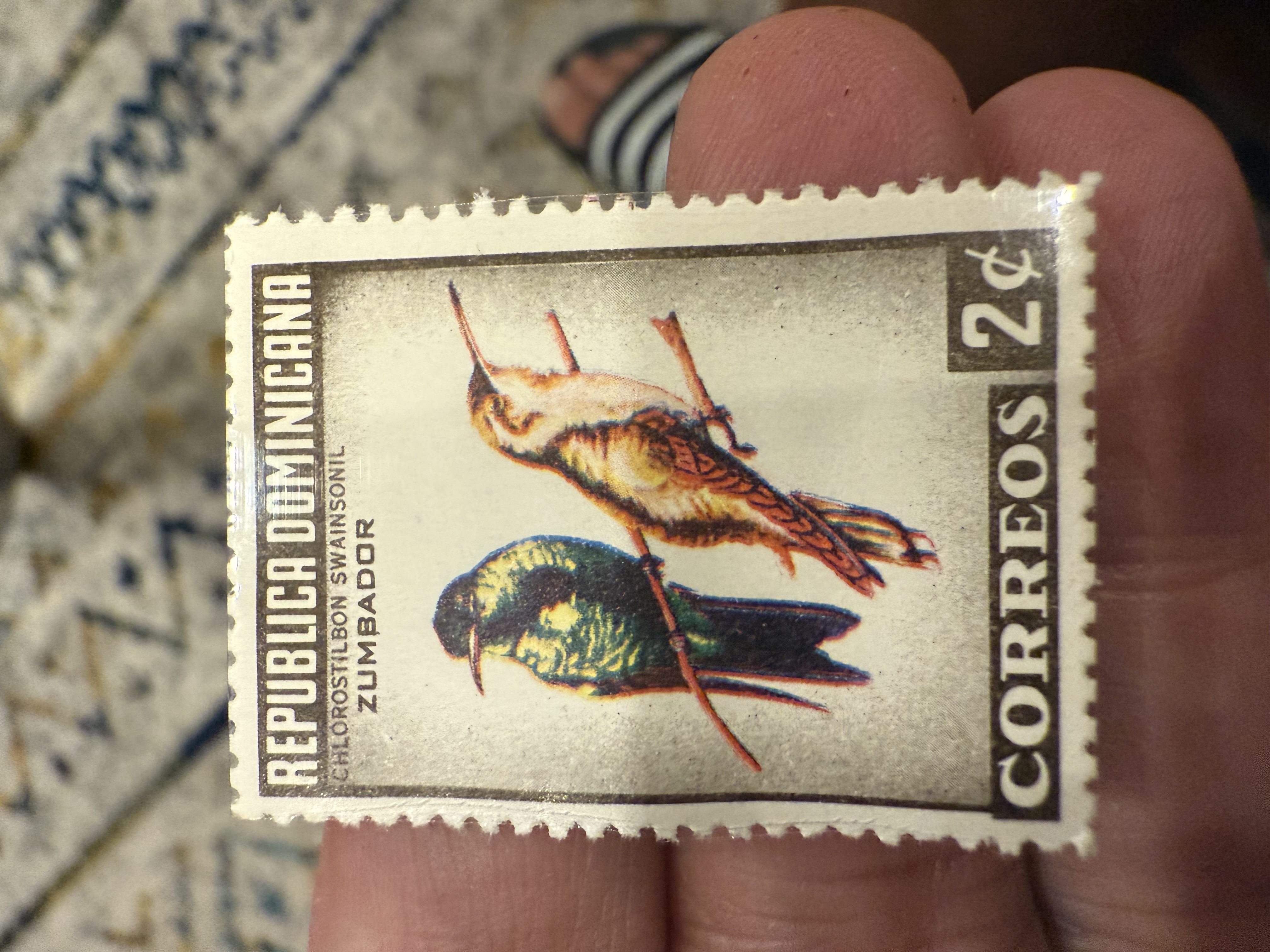 Hispaniolan Emerald Hummingbird