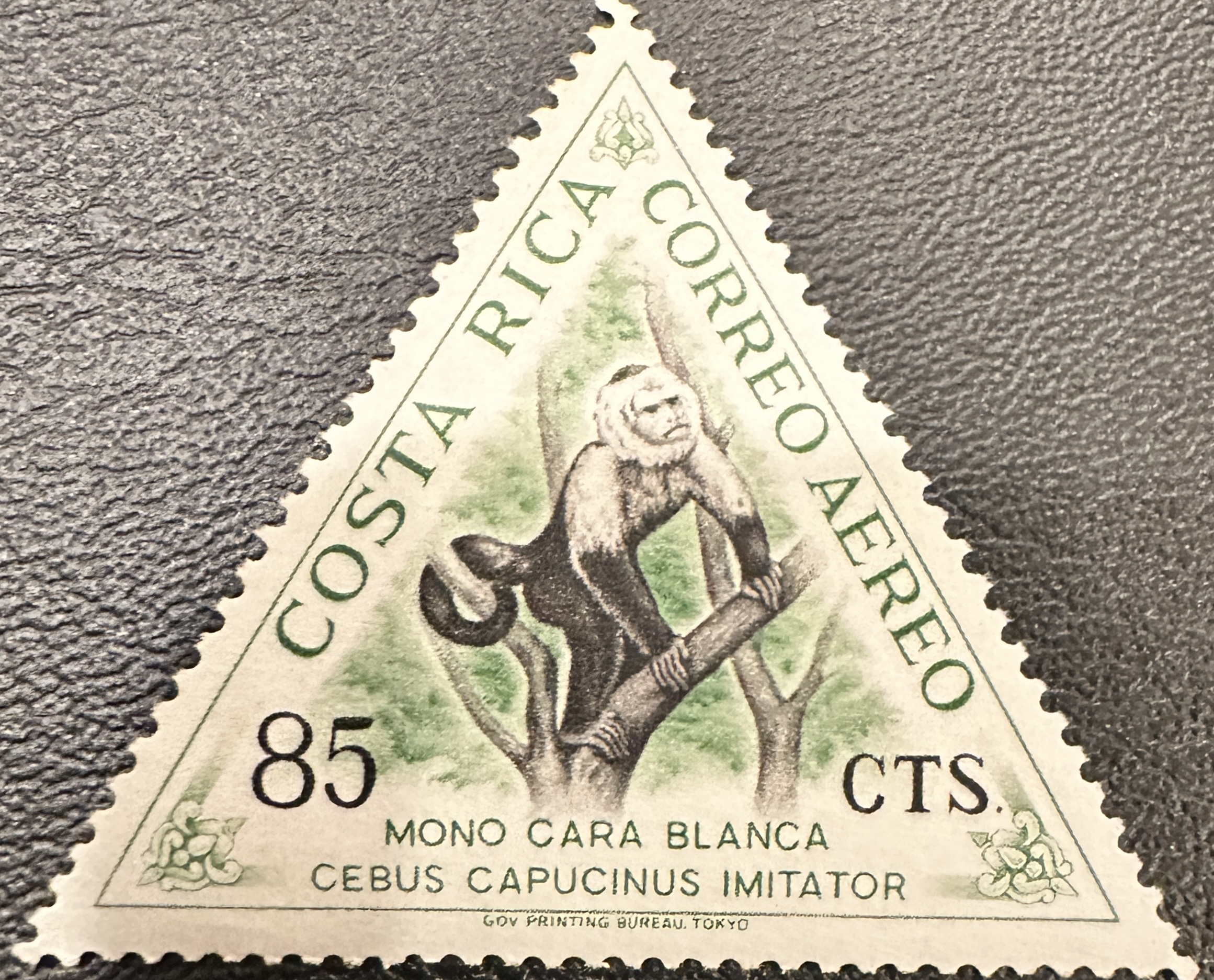 1963 Costa Rica White Faced Capuchin