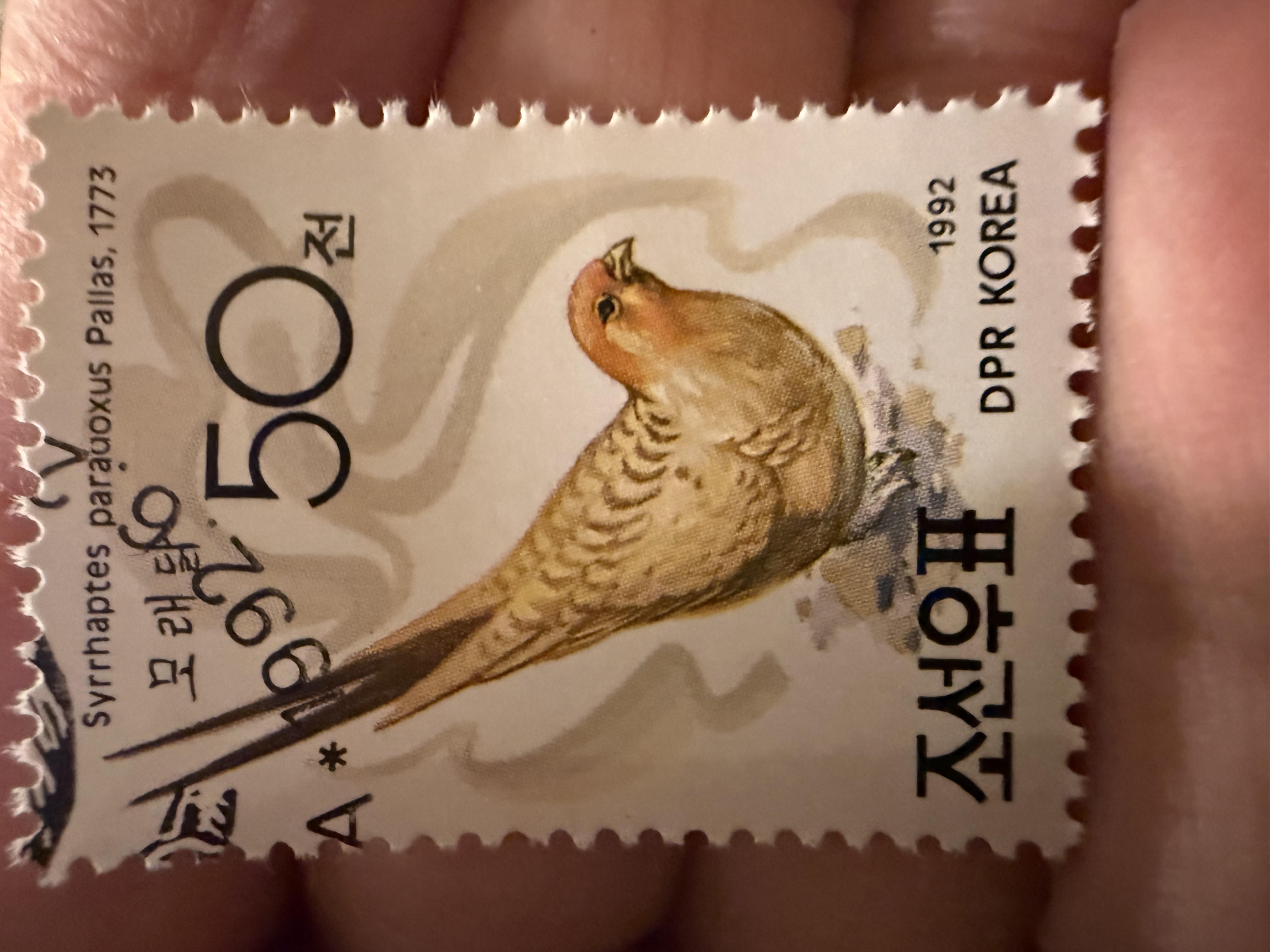 Palla’s Sandgrouse