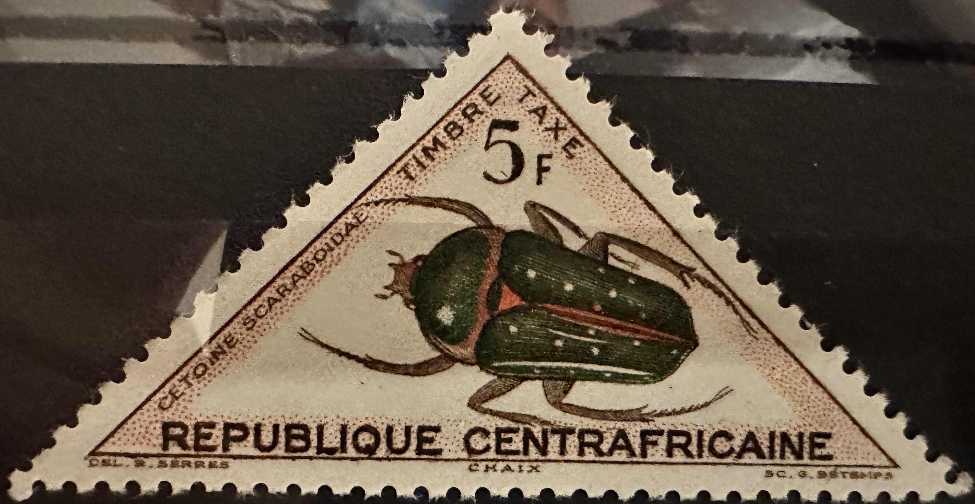 Beetles 5F