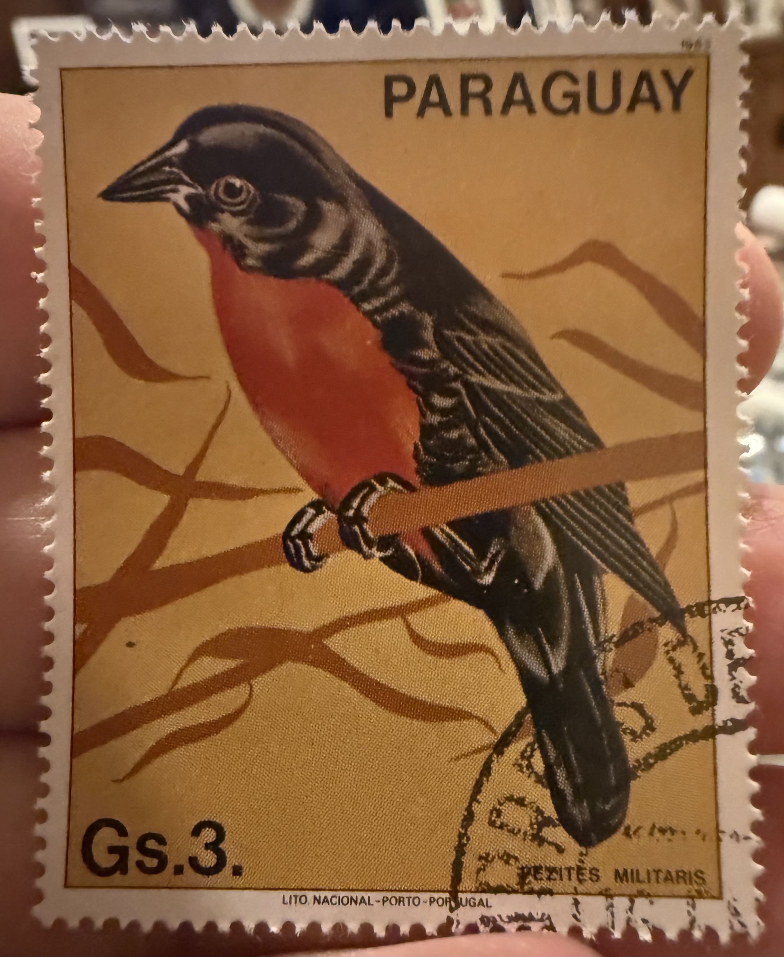 Red Breasted Meadowlark