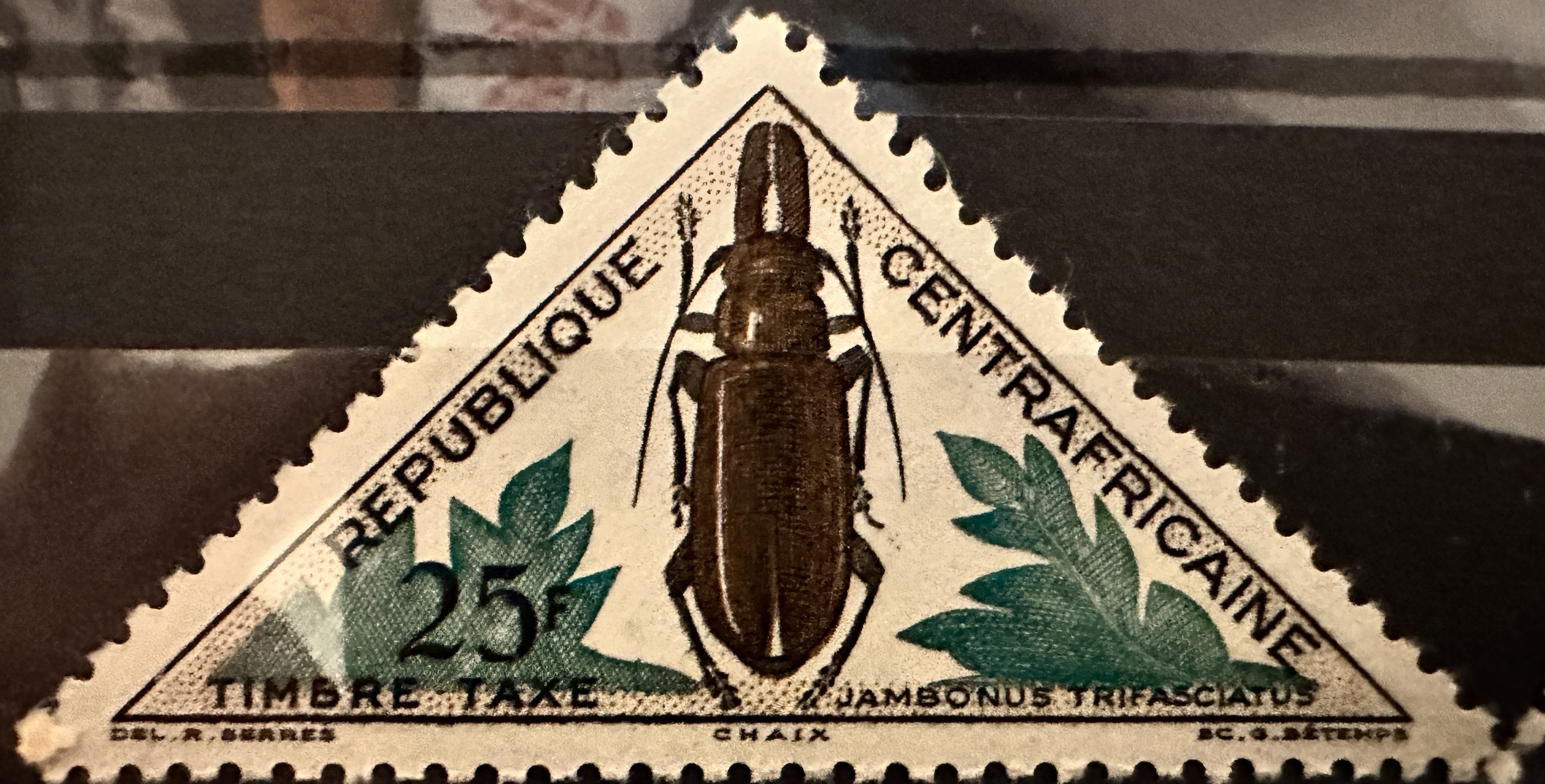 Beetles 25