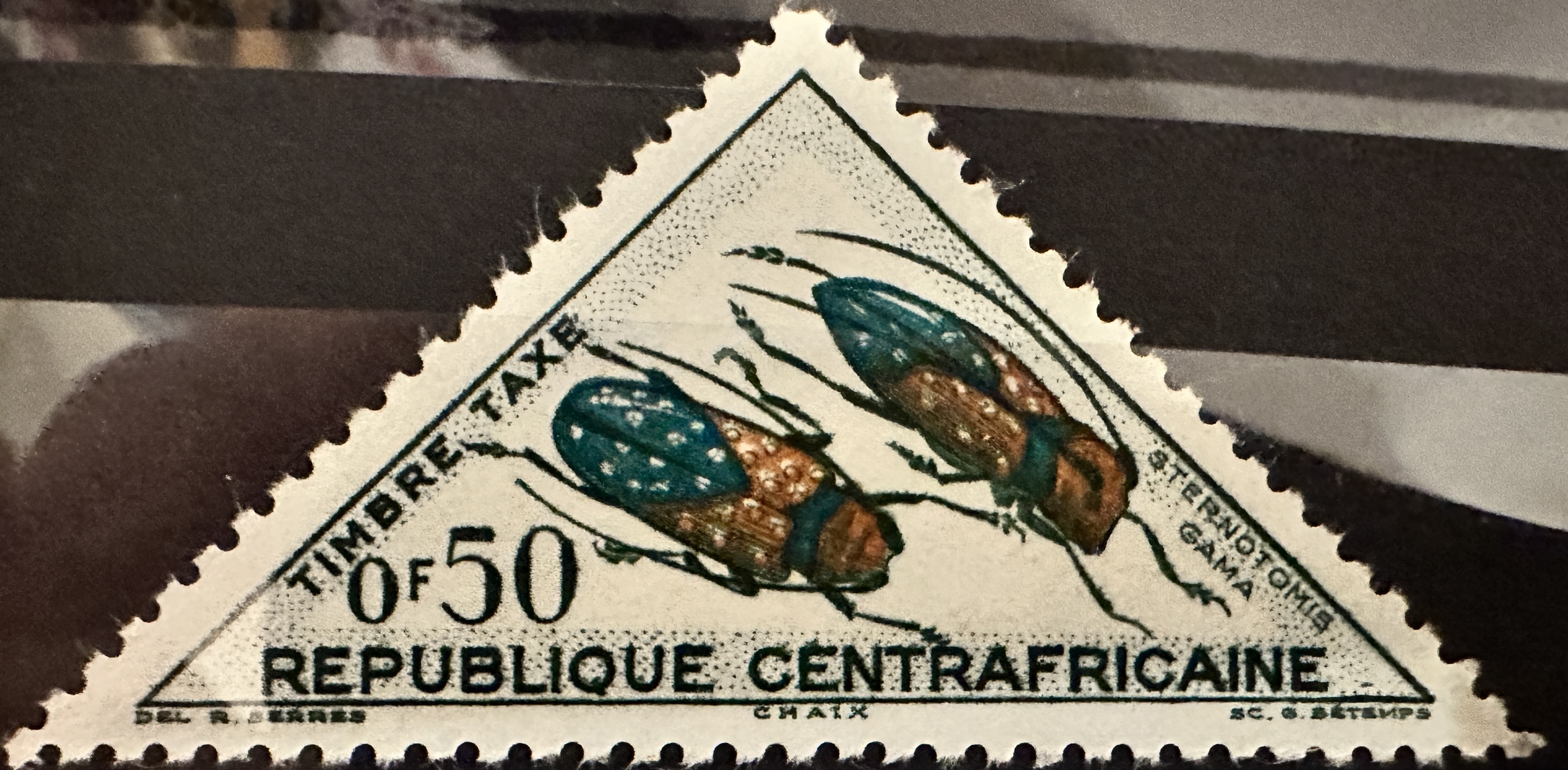 Beetles .50