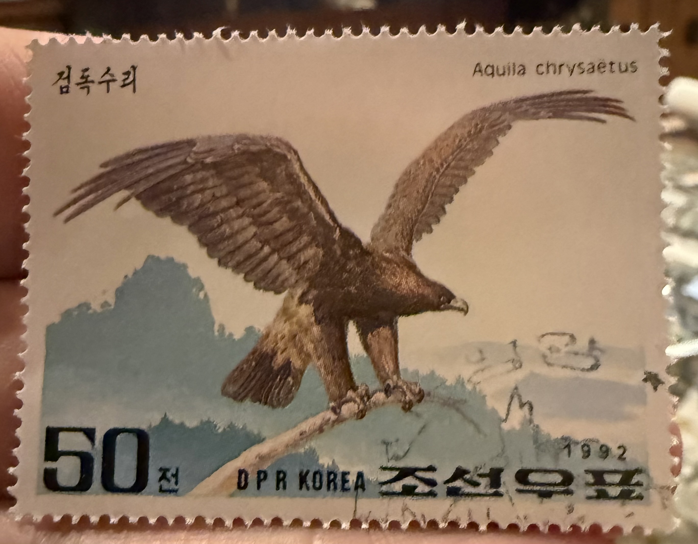 Golden Eagle -North Korea