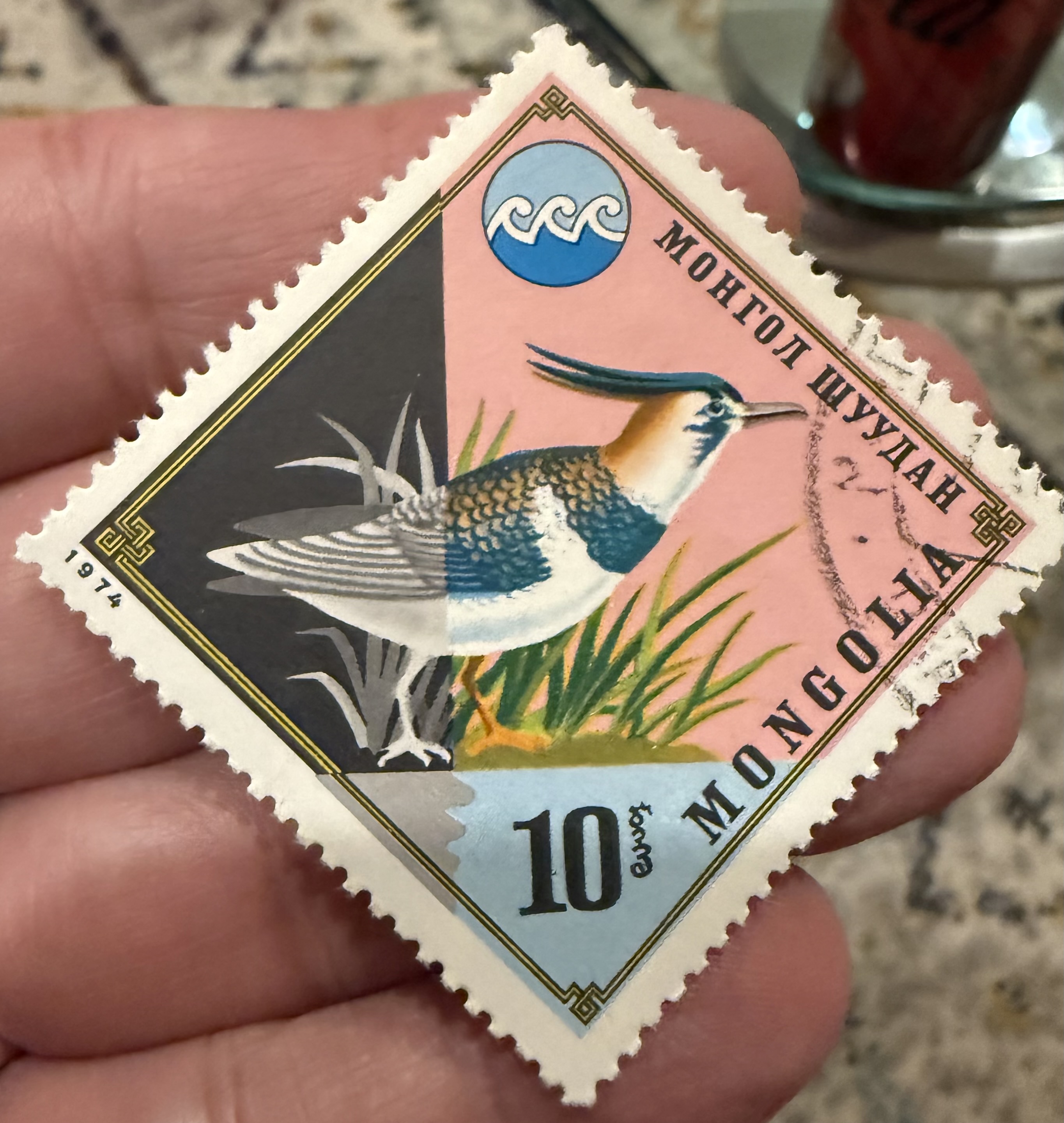 Northern Lapwing-Mongolia