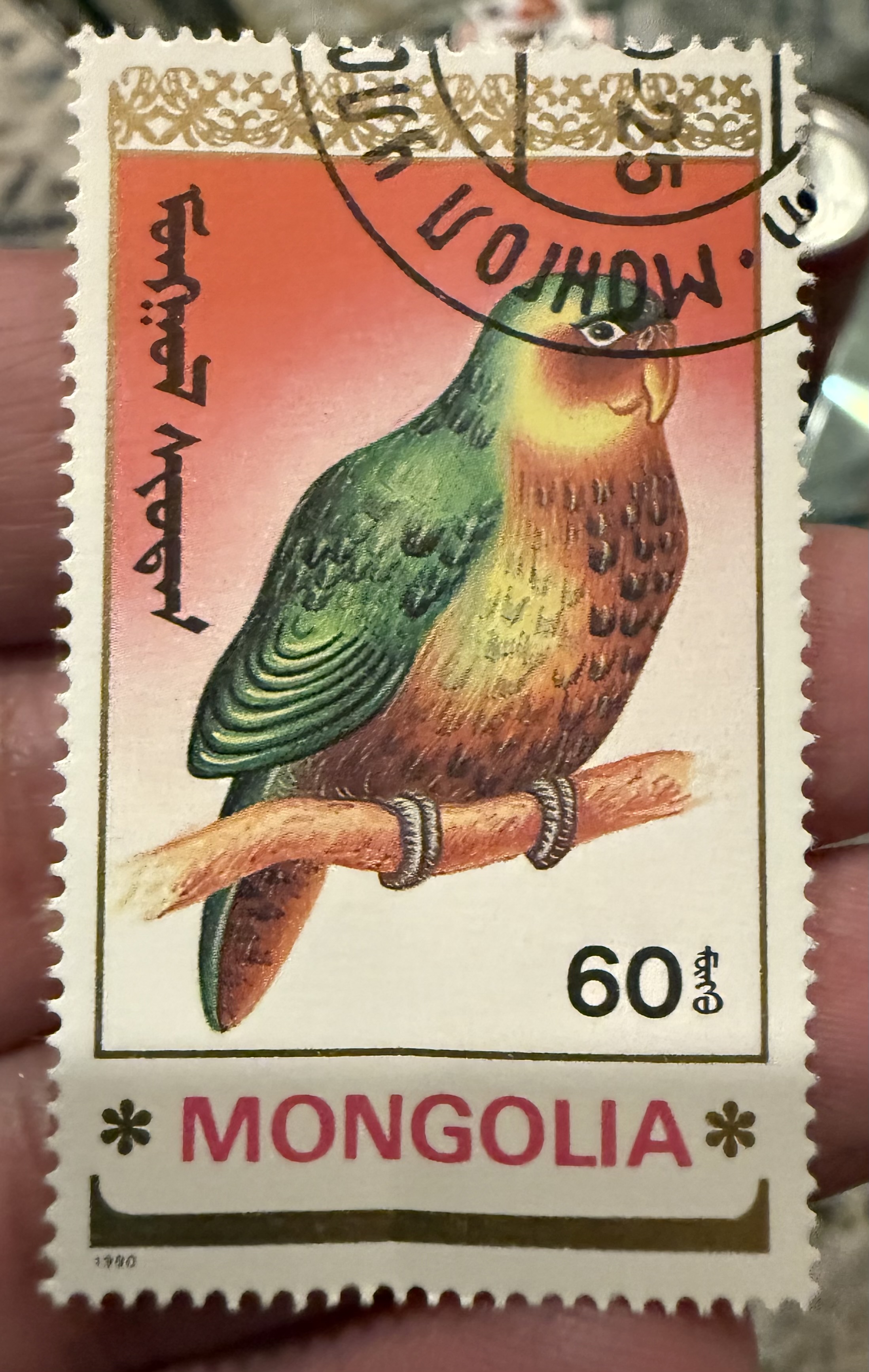 Kakapo - Mongolia