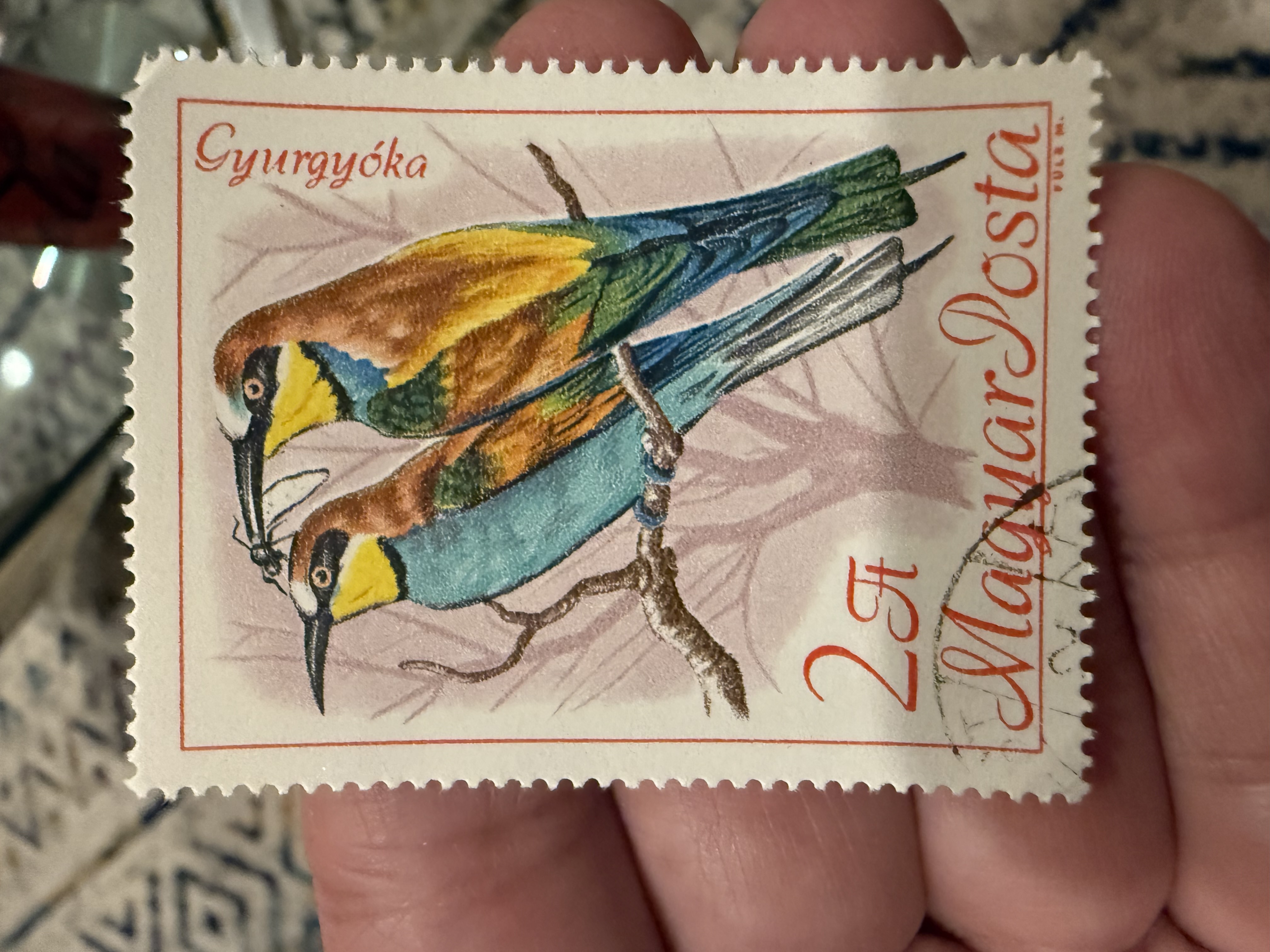 European Bee Eaters-Hungary