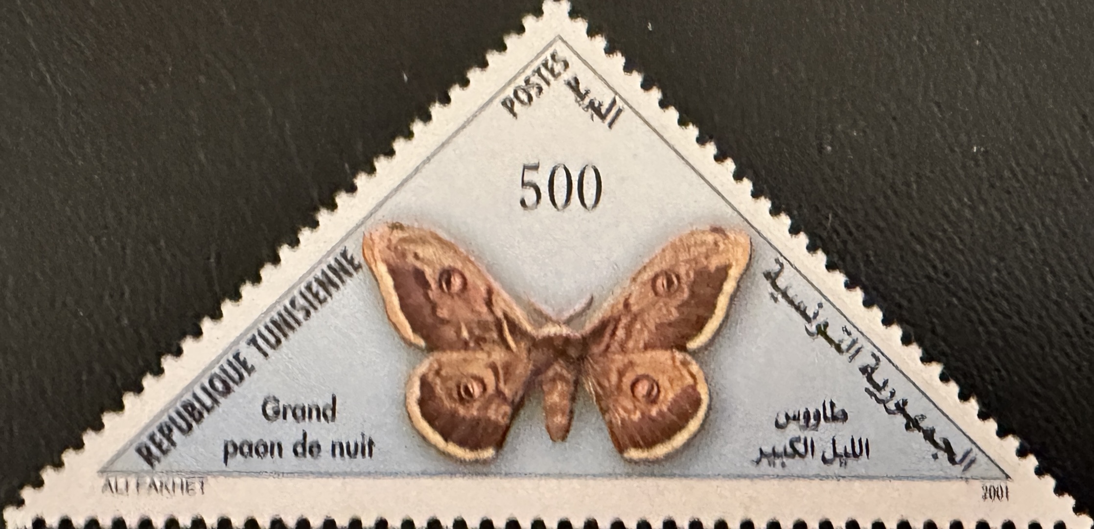 Tunisia Butterflies 500