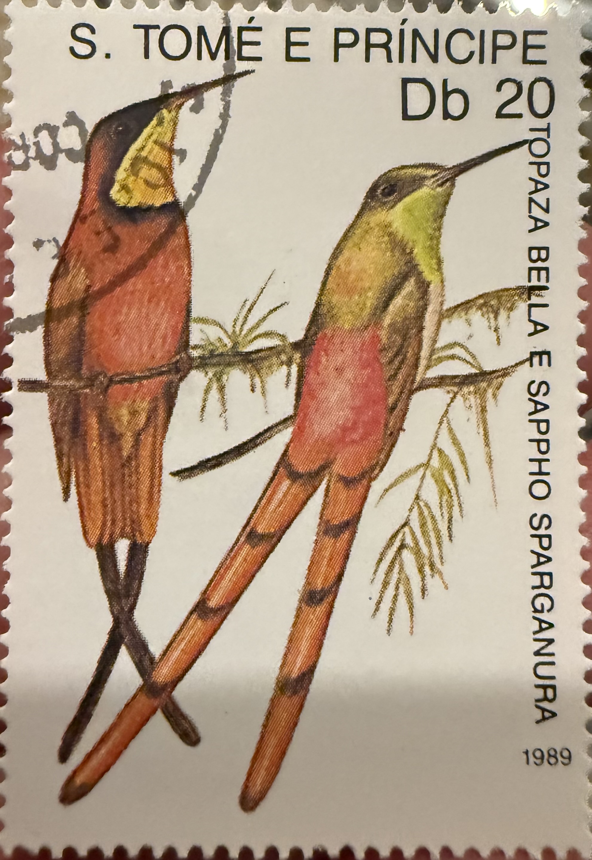 Crimson Topaz Hummingbird