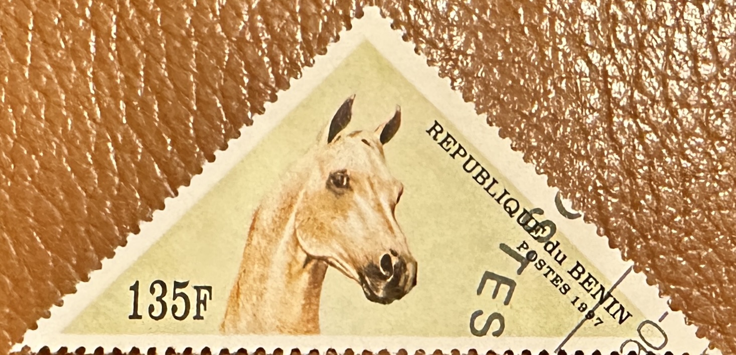 Arabian Horses 135F