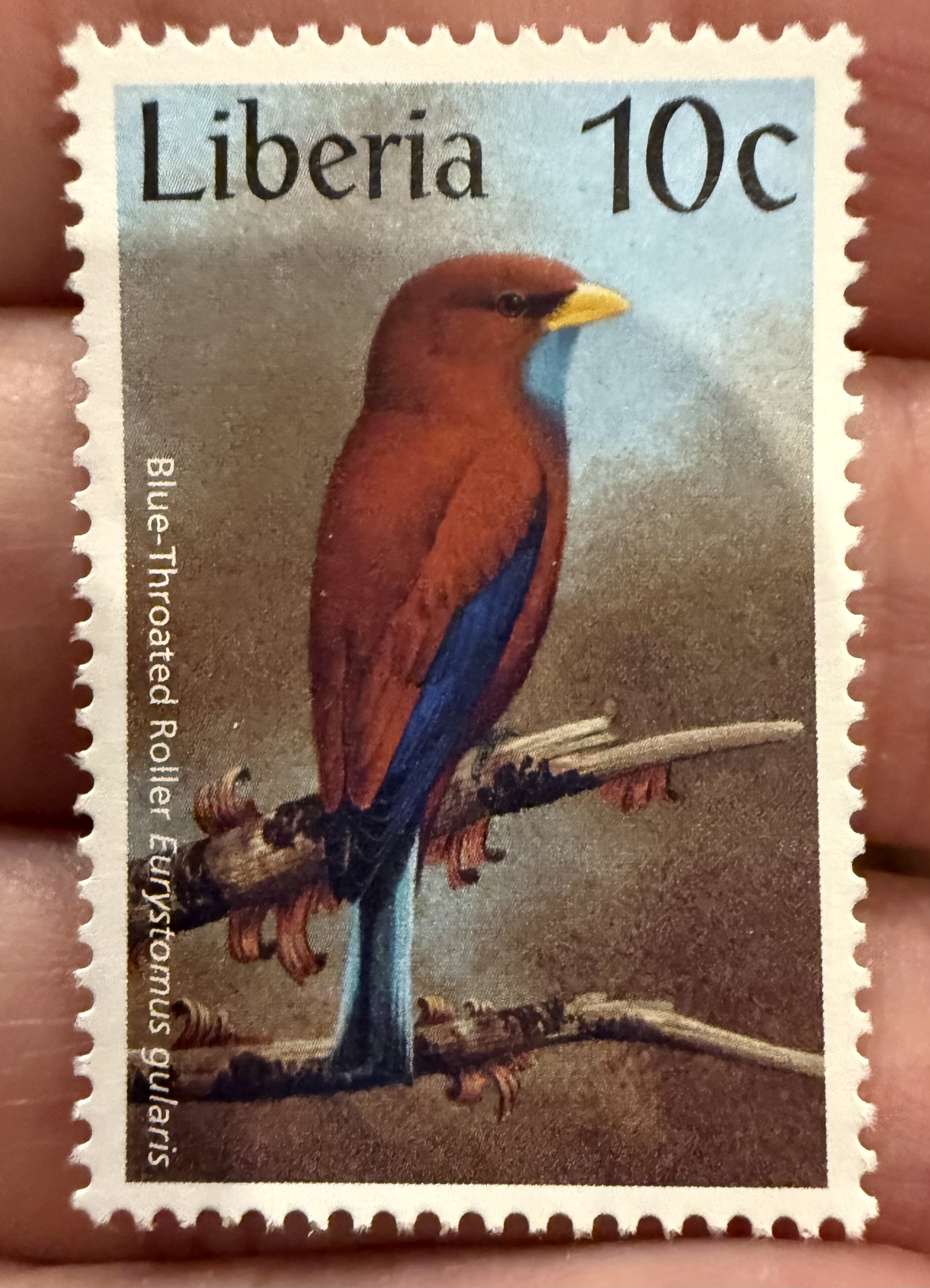 Blue Throated Roller