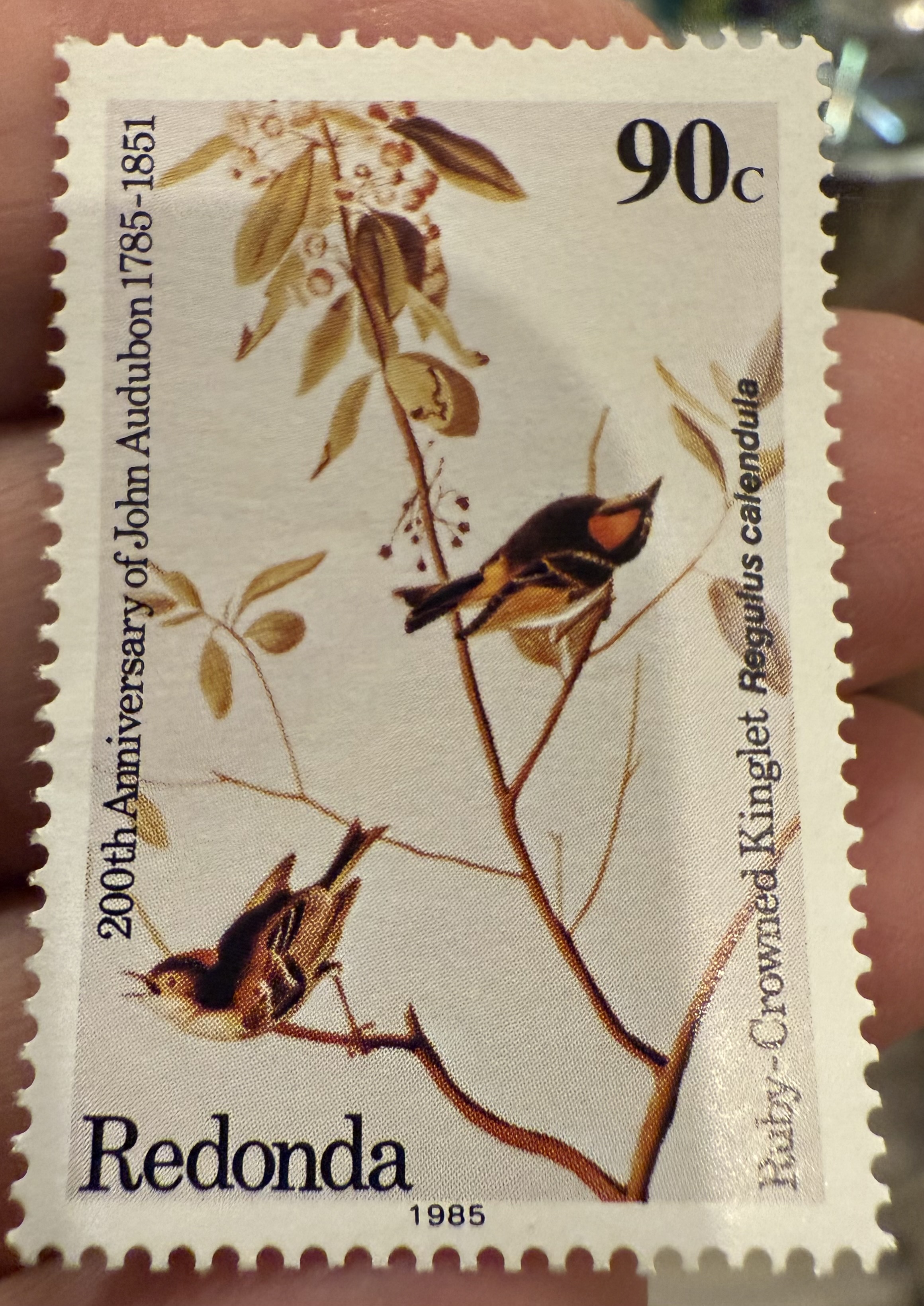 Ruby Crowned Kinglet