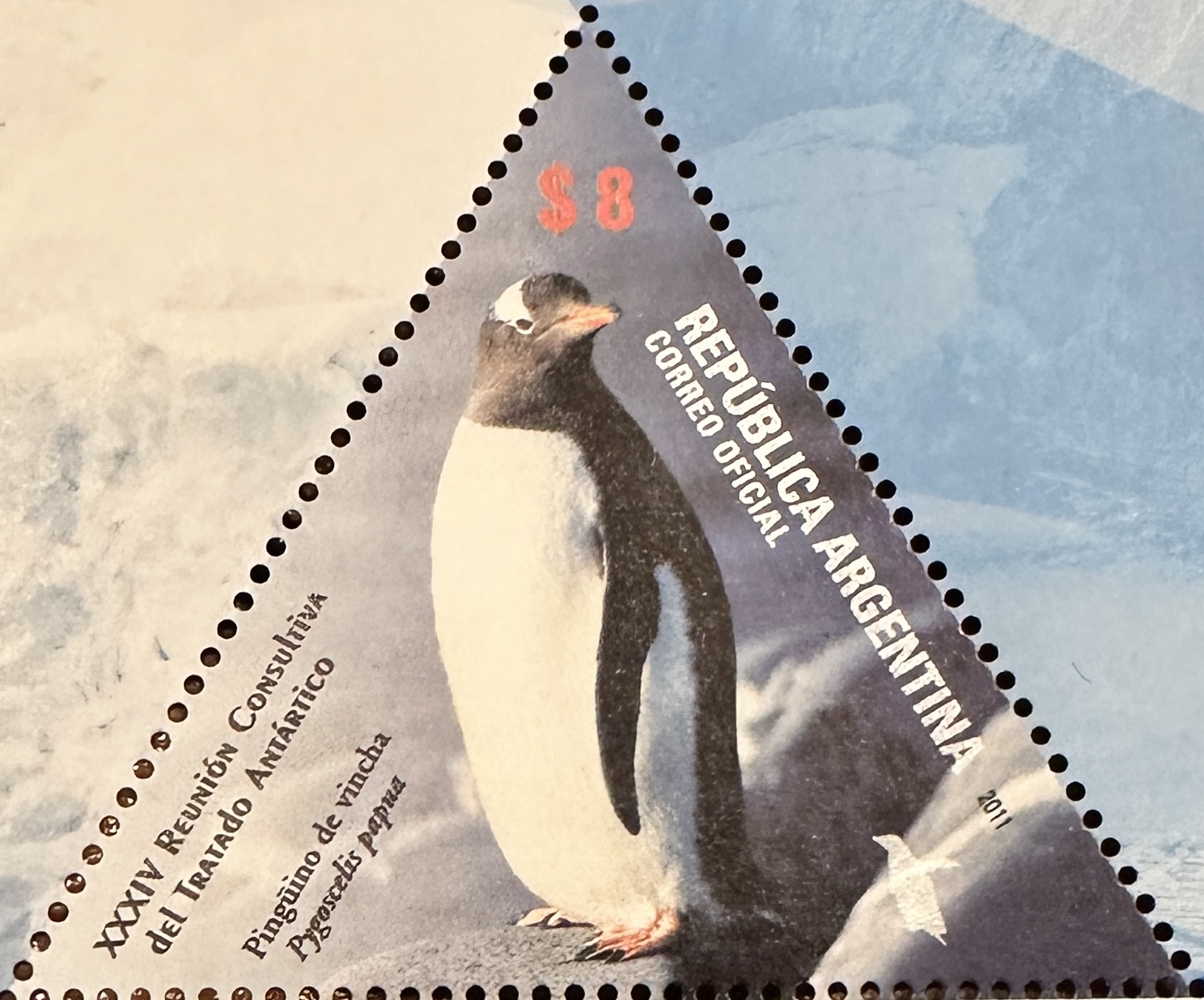 Antarctic Penguin