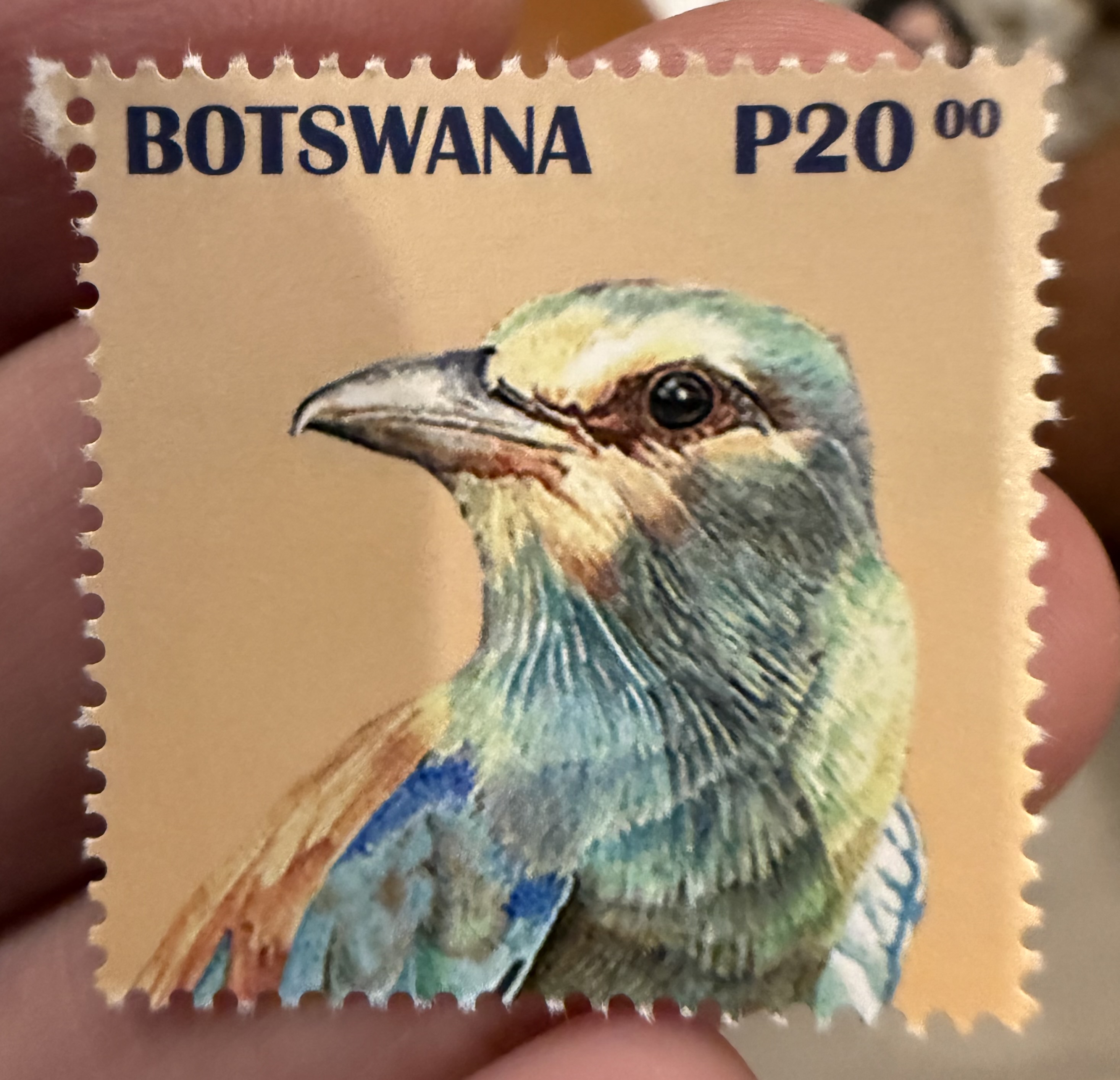 Lilac Breasted Roller