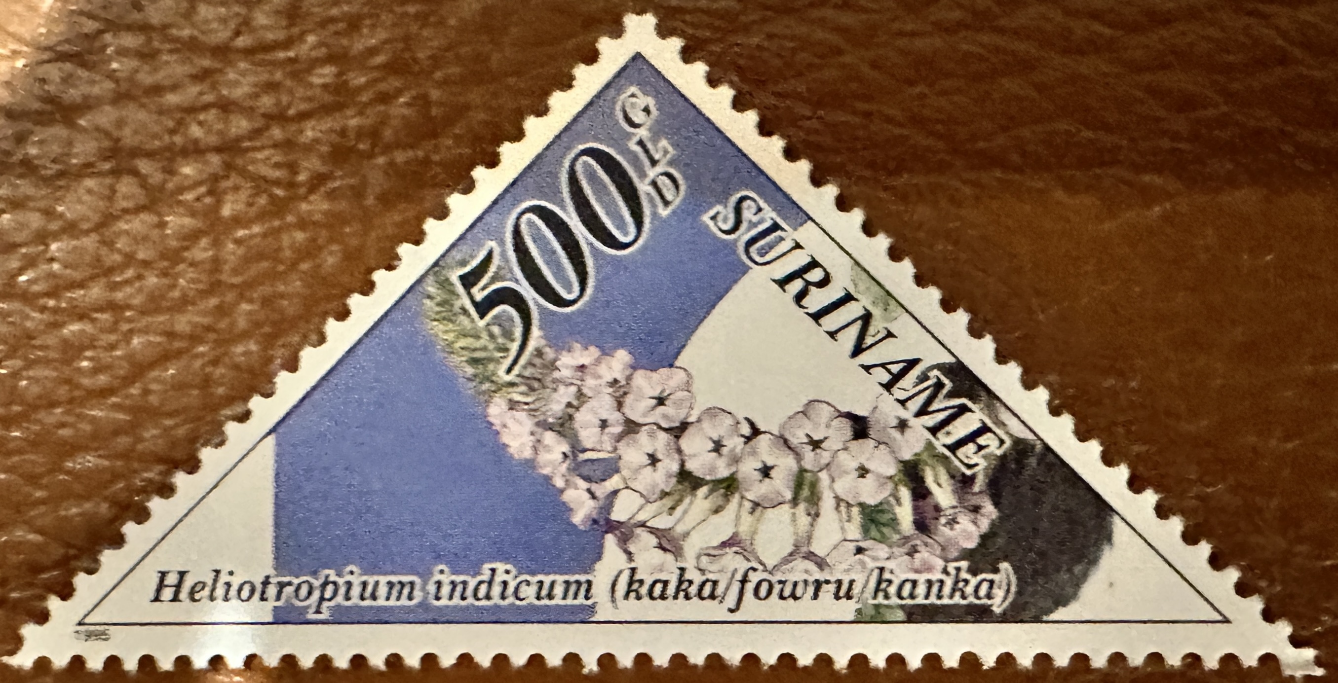 1995 Surinam 500