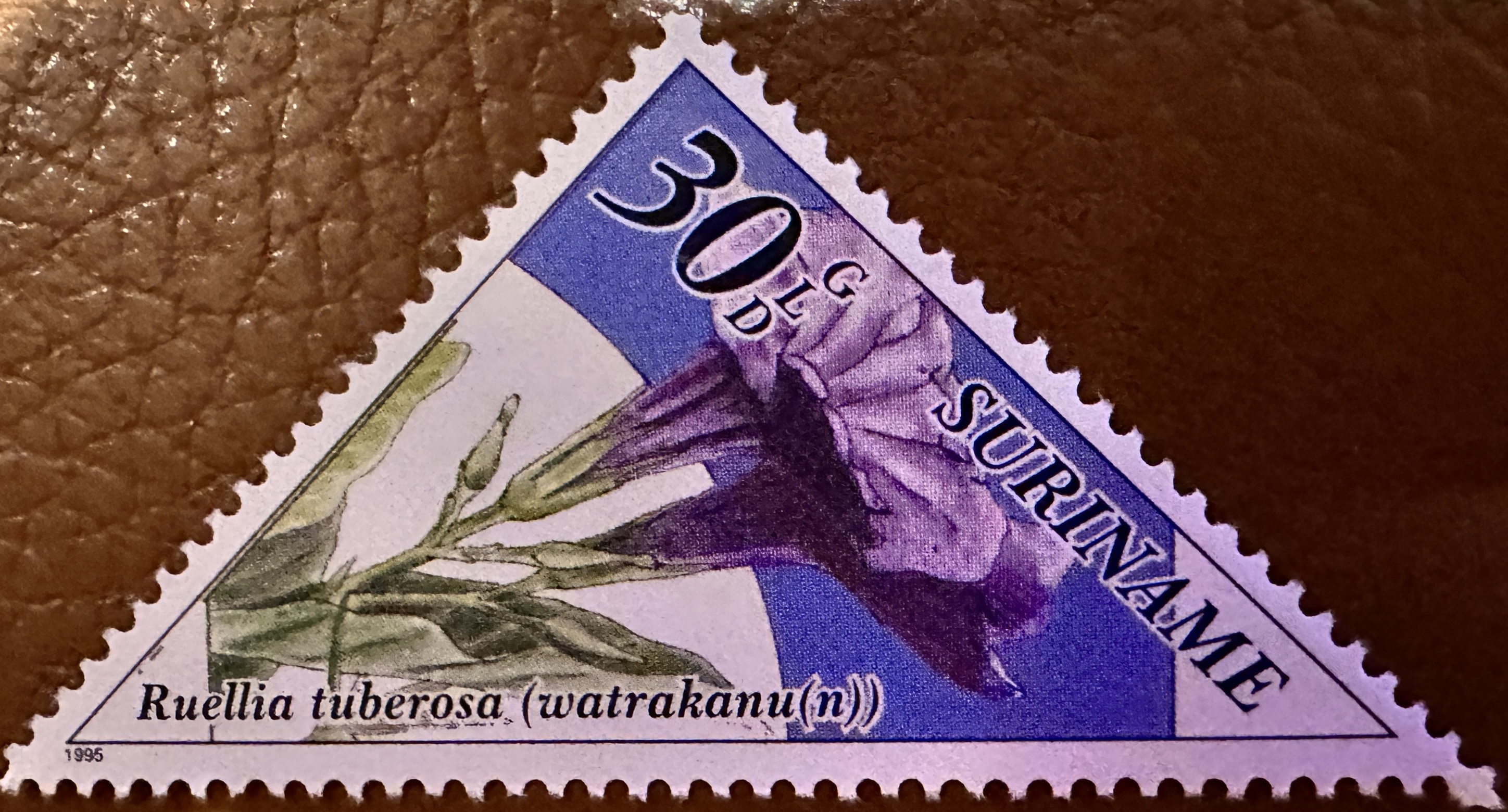 1995 Suriname 30