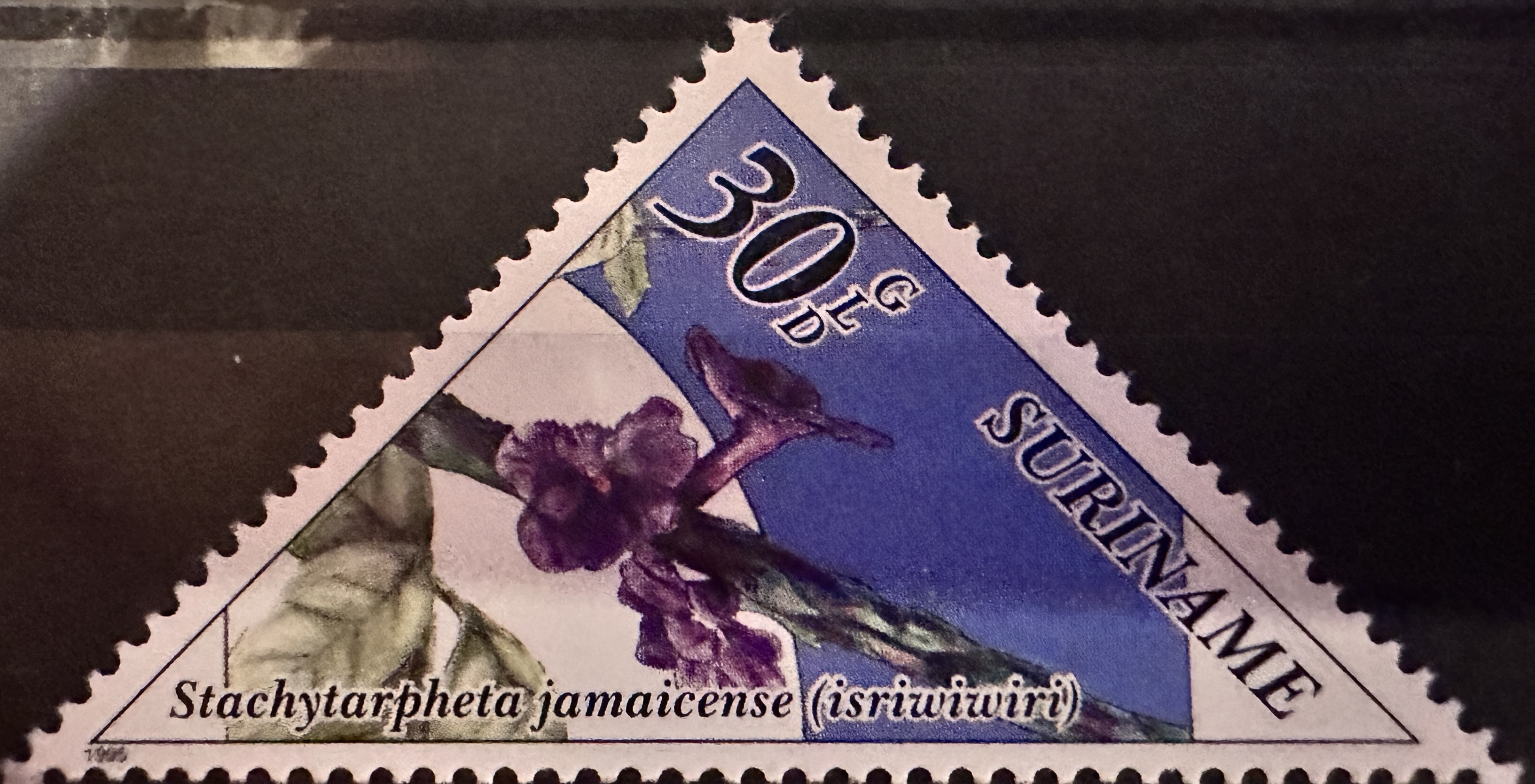 1995 Suriname 30 GLD