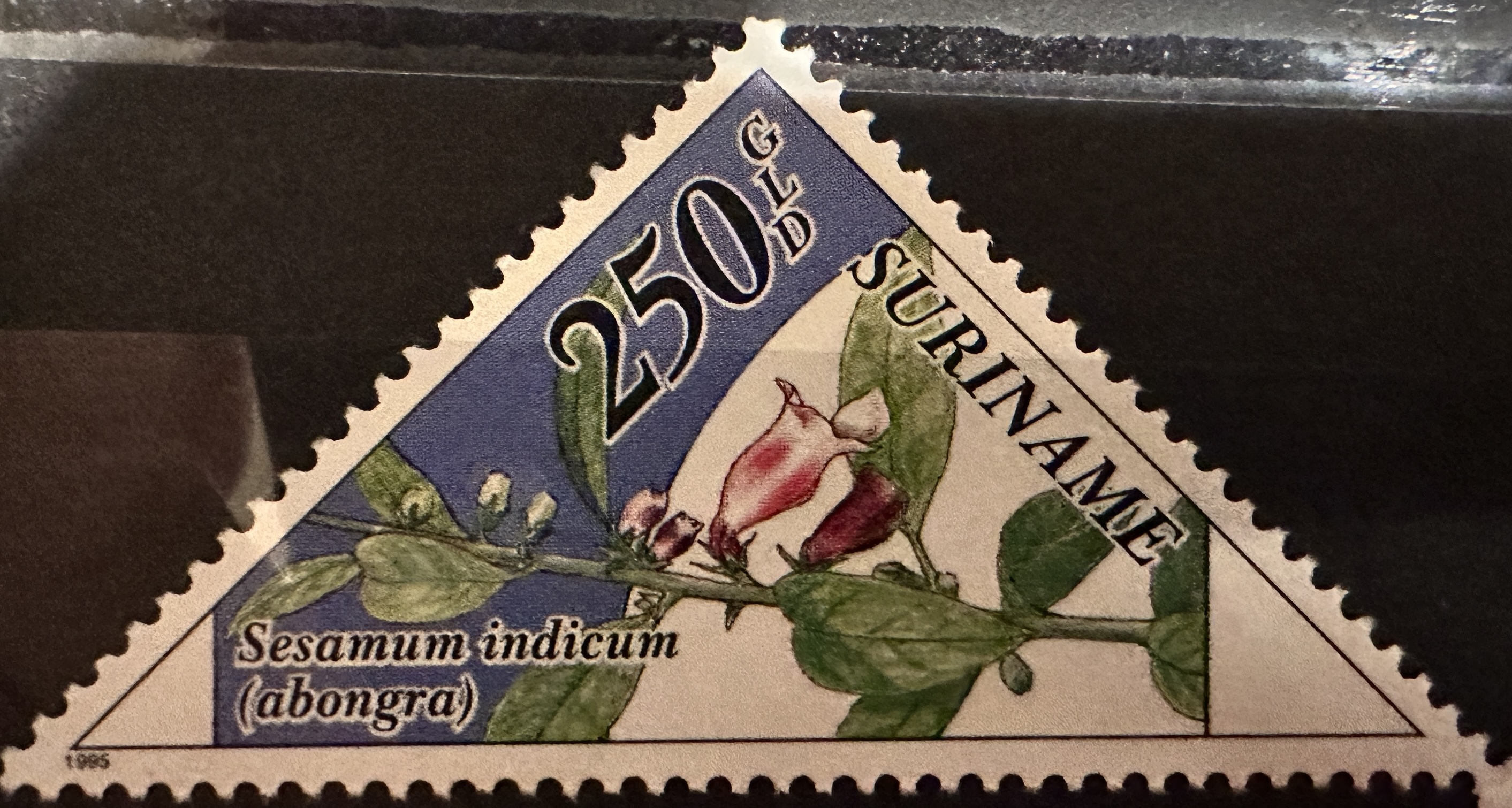 1995 Suriname 250 GLD