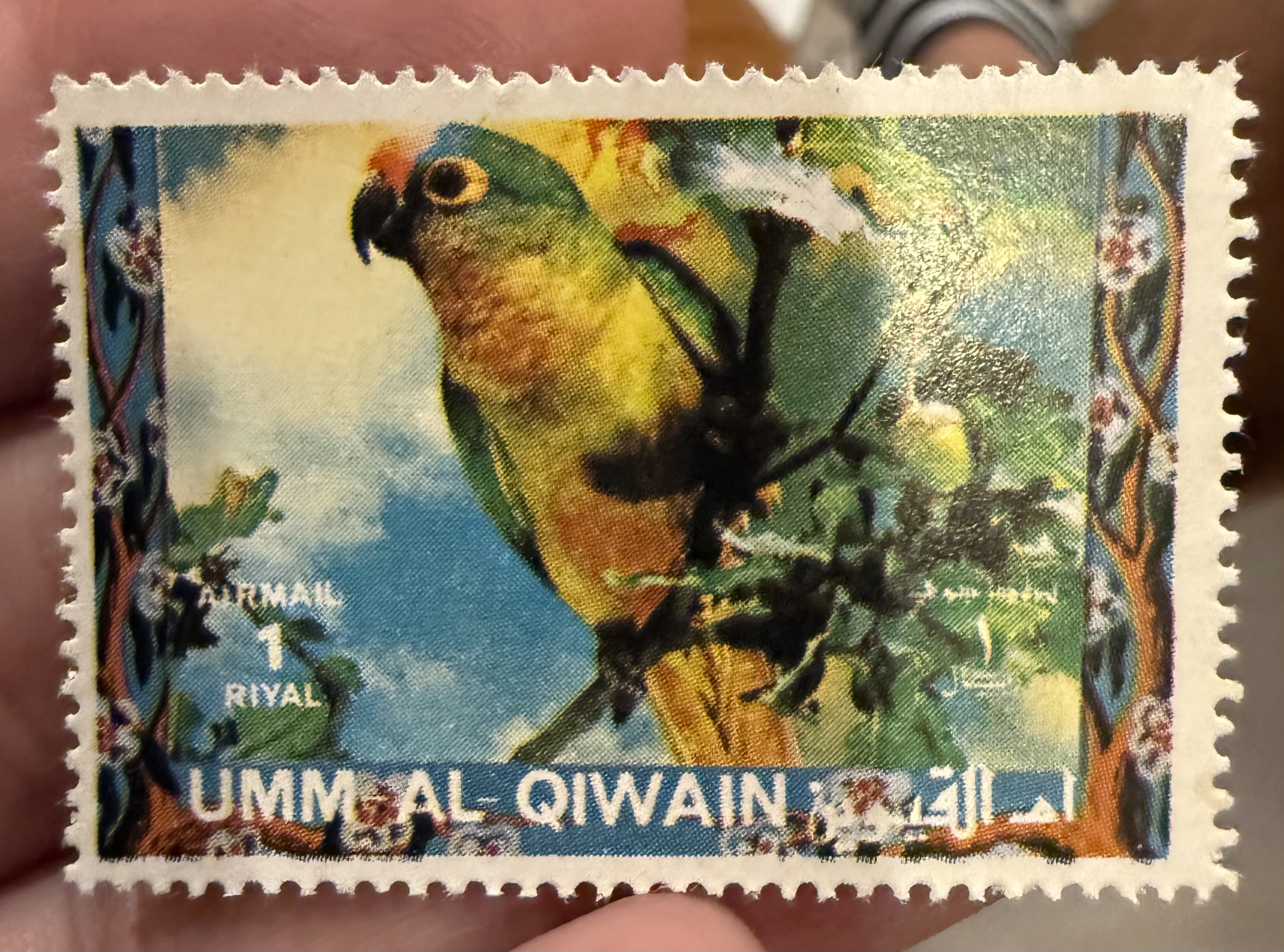 Peach Fronted Parakeet